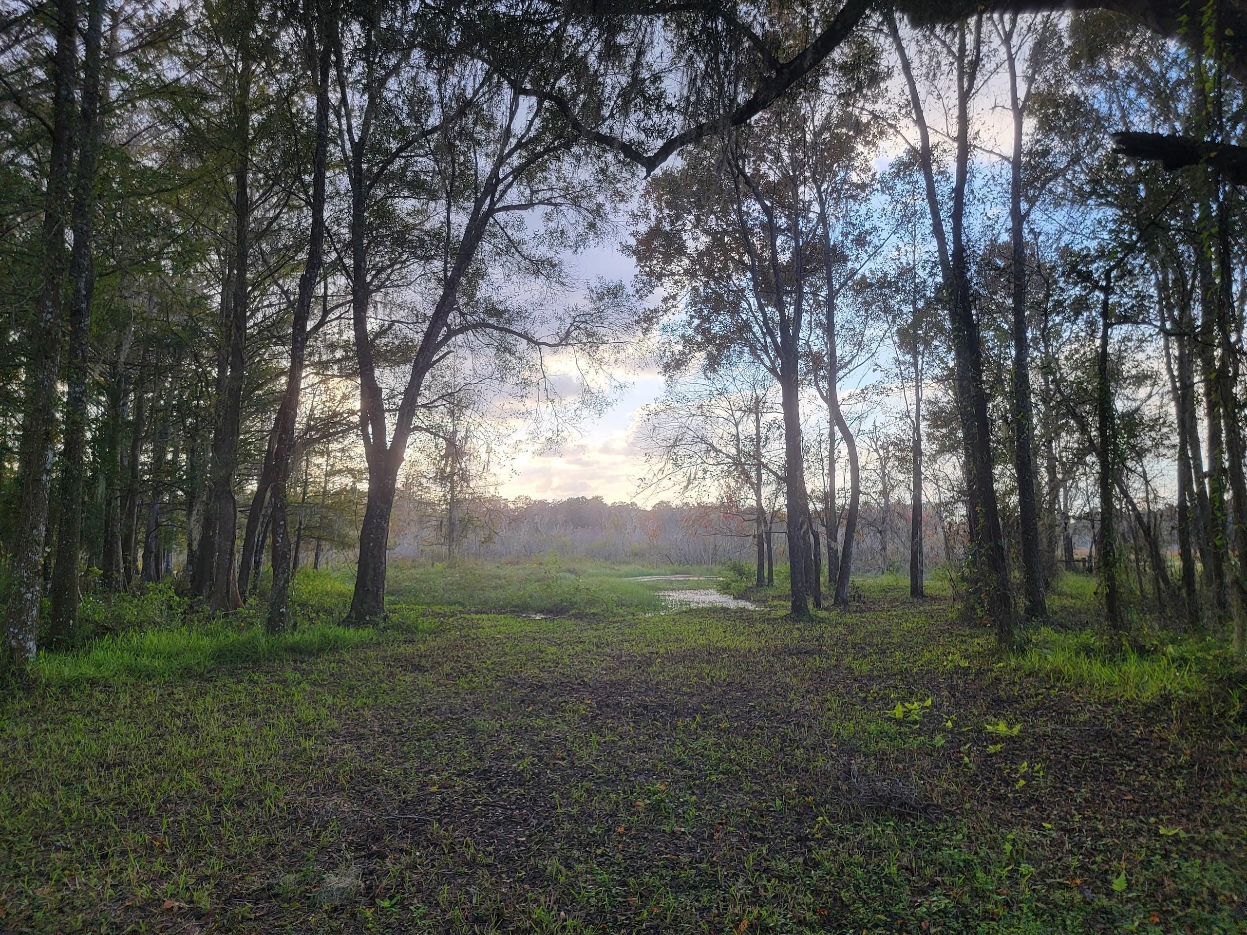 ster, Sumter County, FL Farms and Ranches, Recreational Property