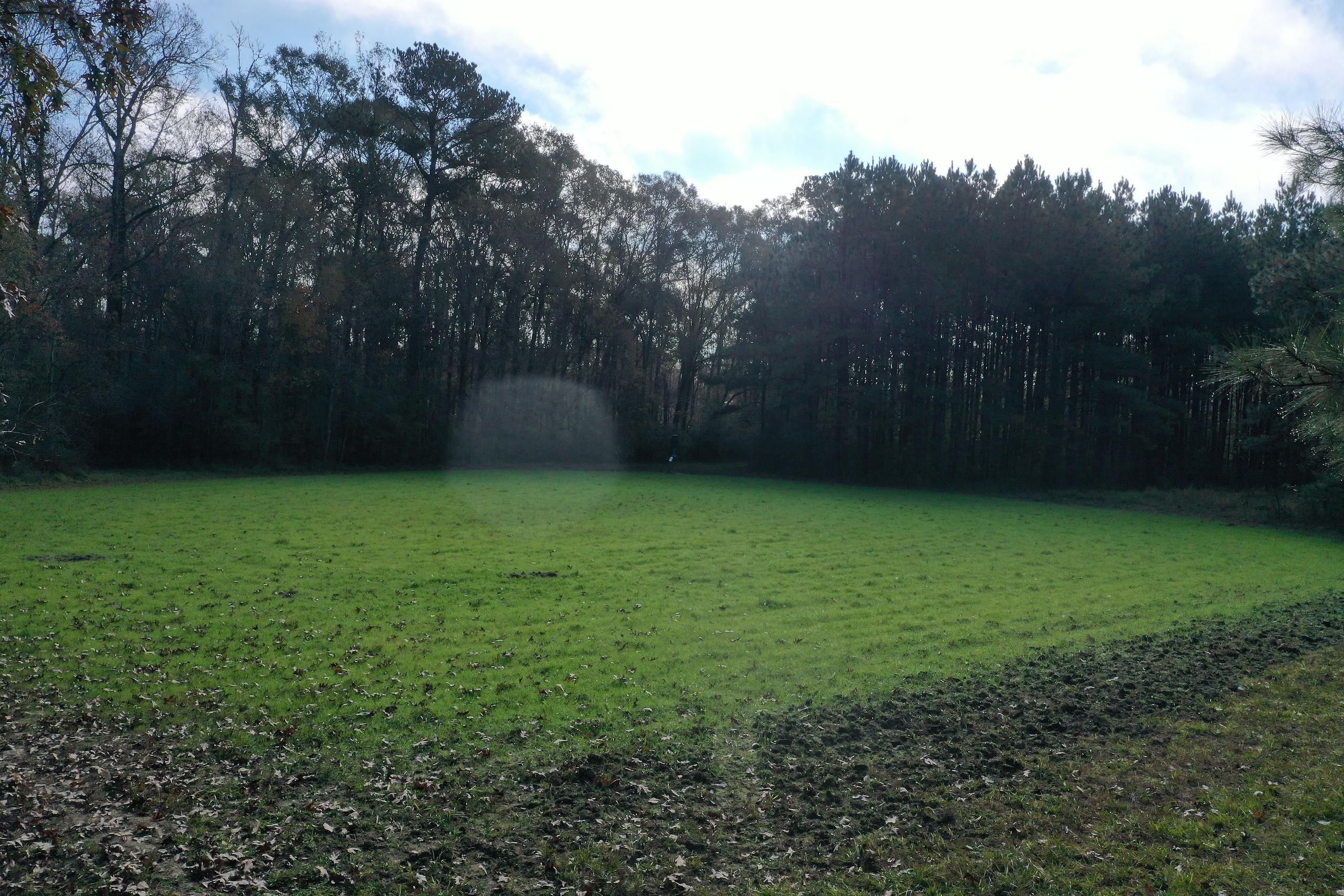 Highway 442, LotWP001, Norwood, LA 70761 LandWatch