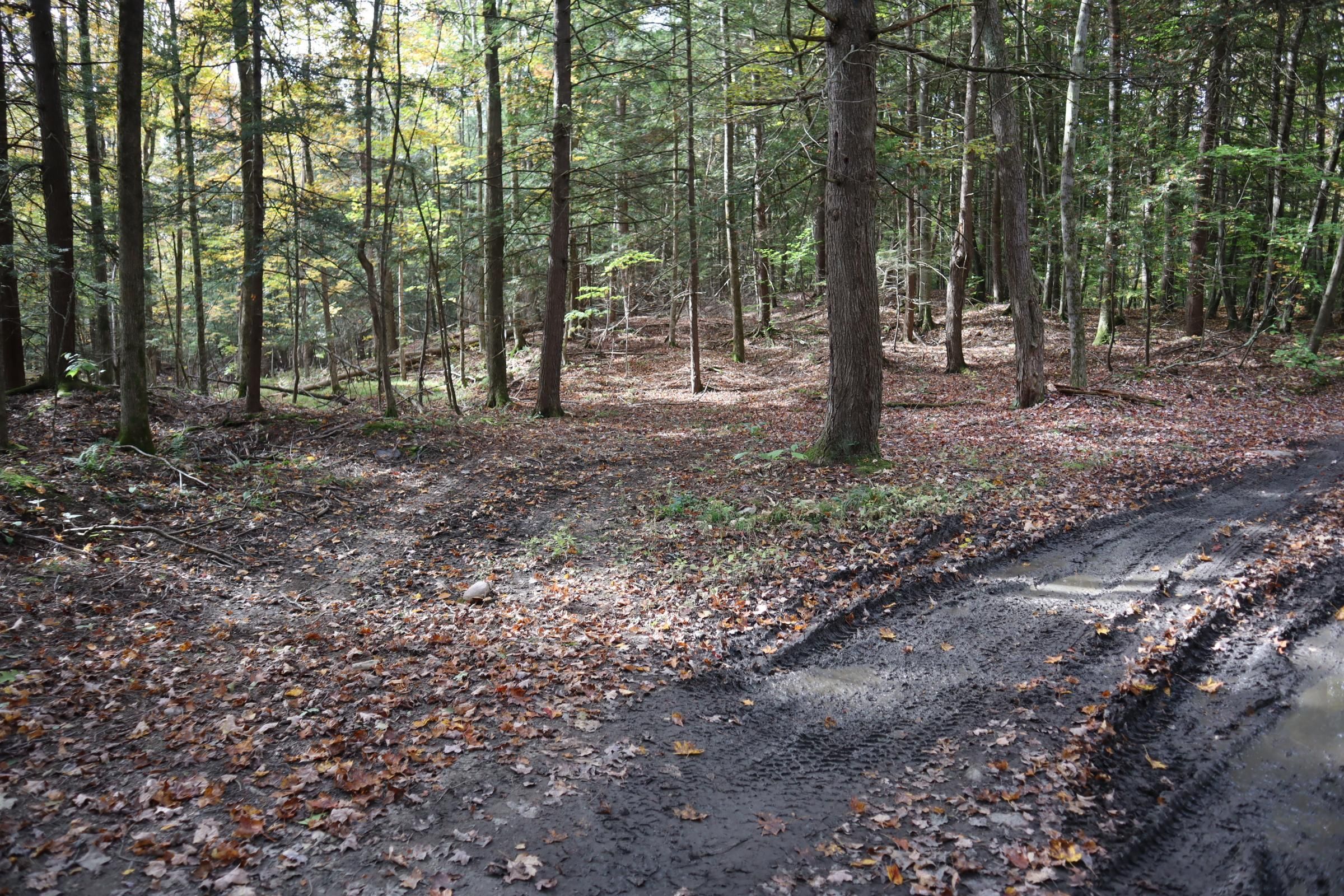 Hartford, Washington County, NY Recreational Property, Timberland Property, Hunting Property for