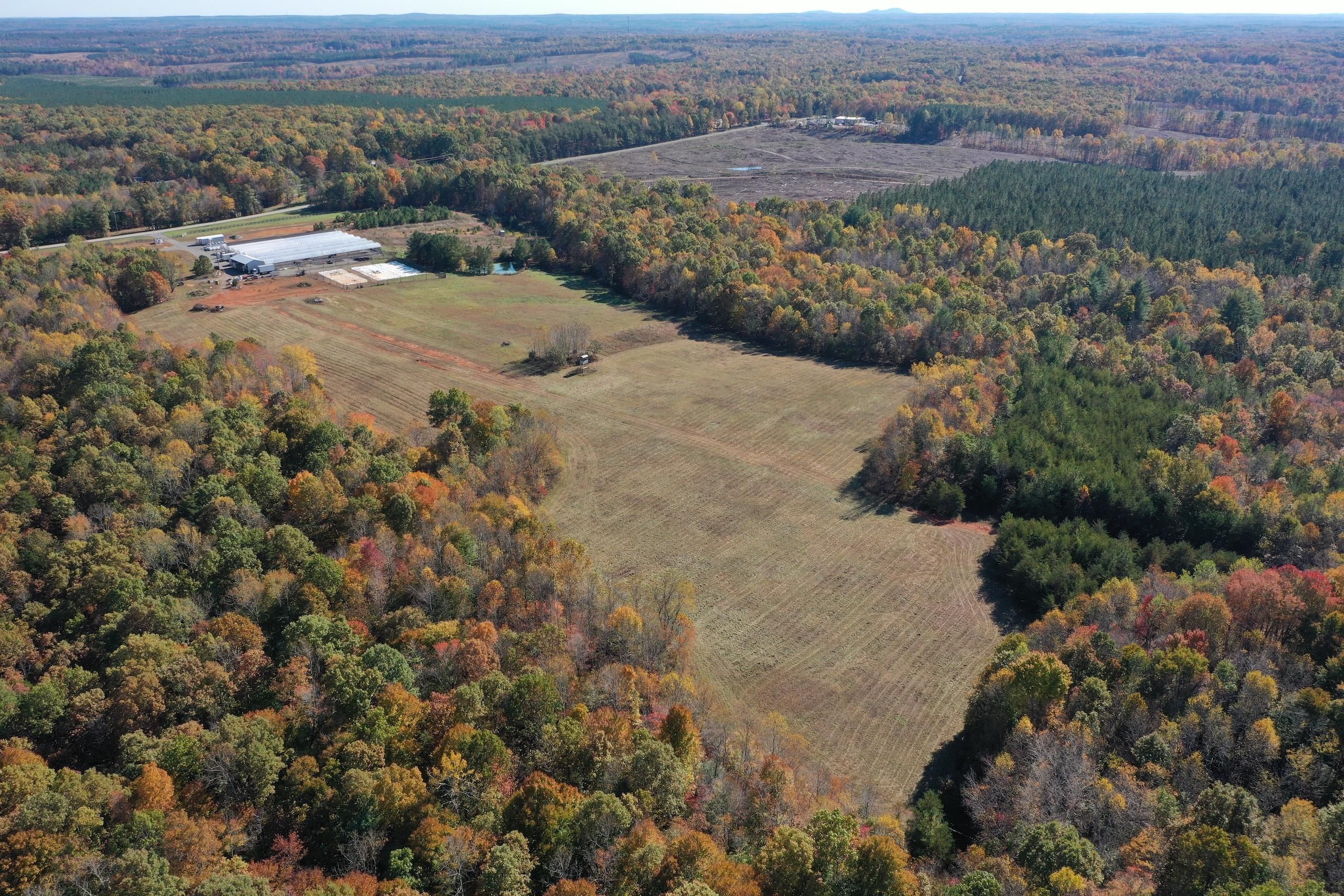 Scottsville, Buckingham County, VA Recreational Property, Timberland