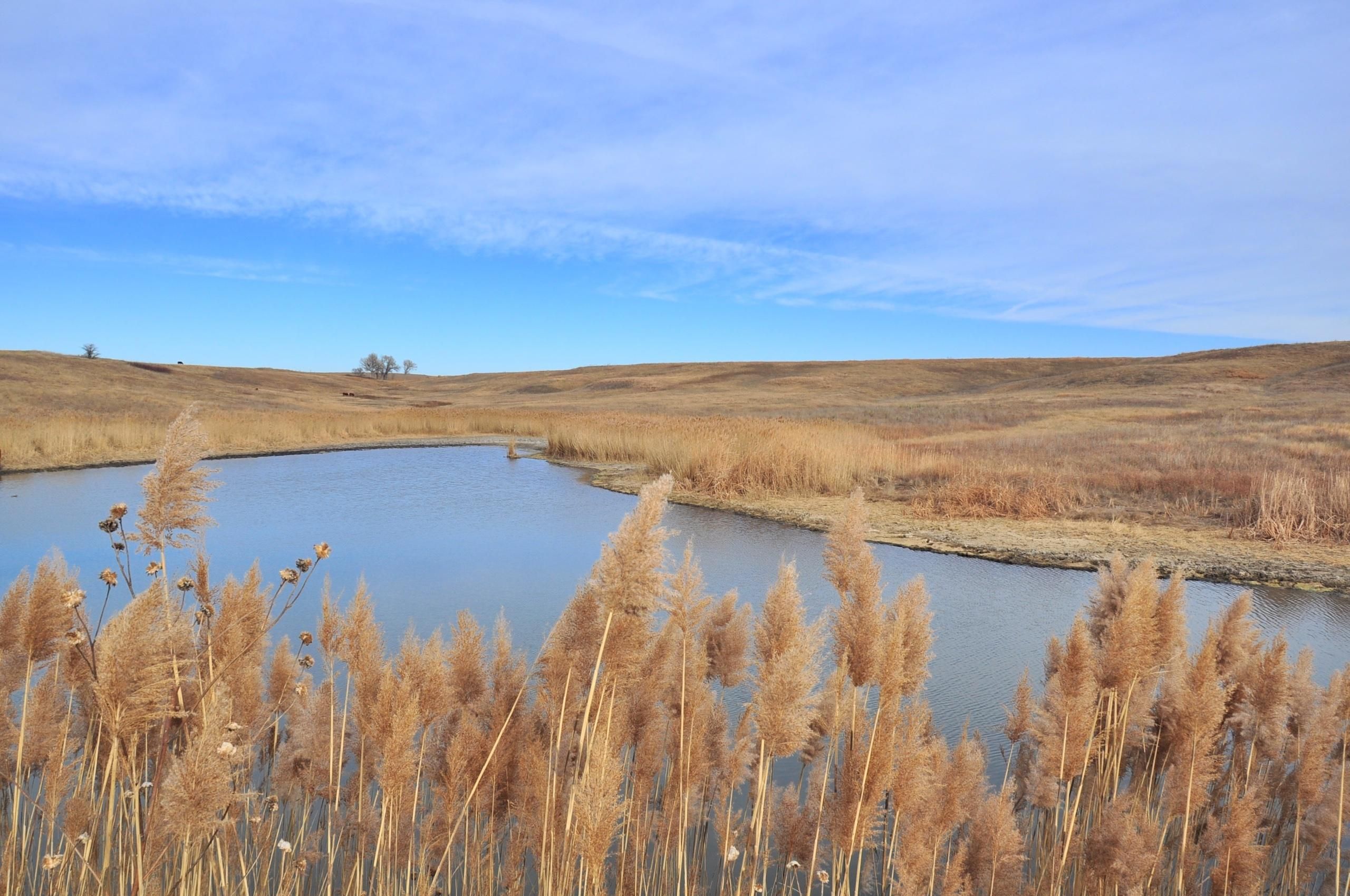 Paradise, Osborne County, KS Farms and Ranches, Recreational Property
