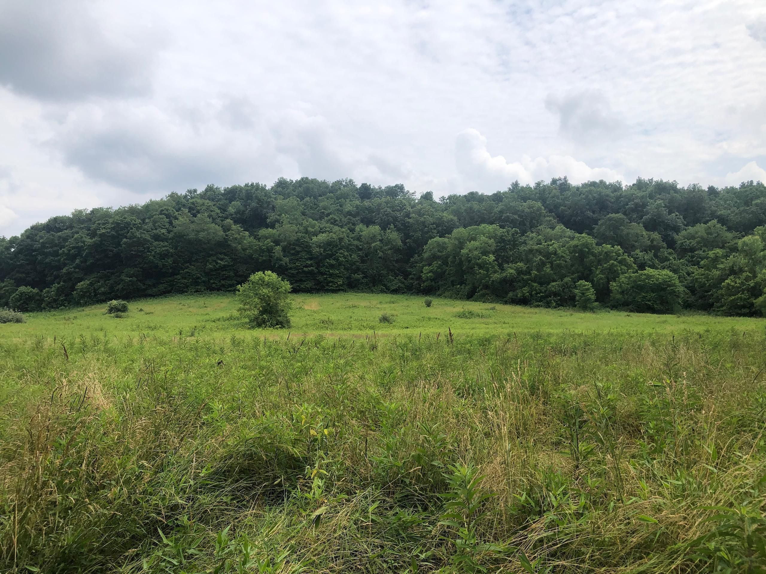 Belpre, Washington County, OH Recreational Property, Timberland