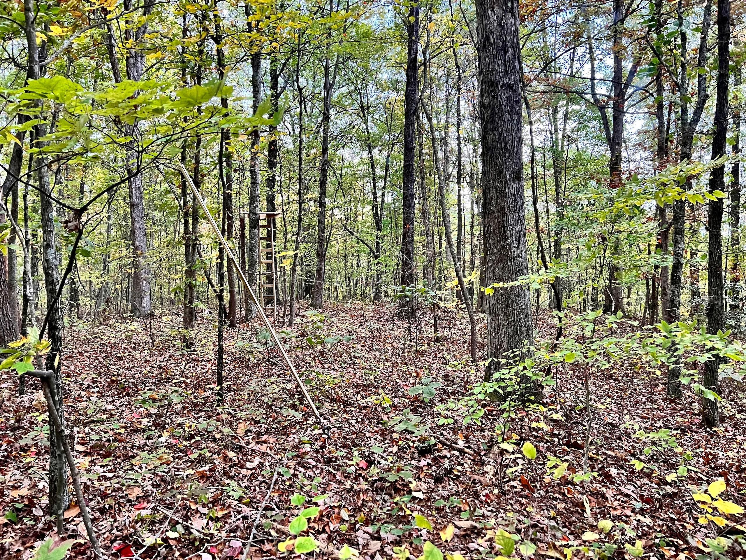 Rogersville, Hawkins County, TN Recreational Property, Timberland