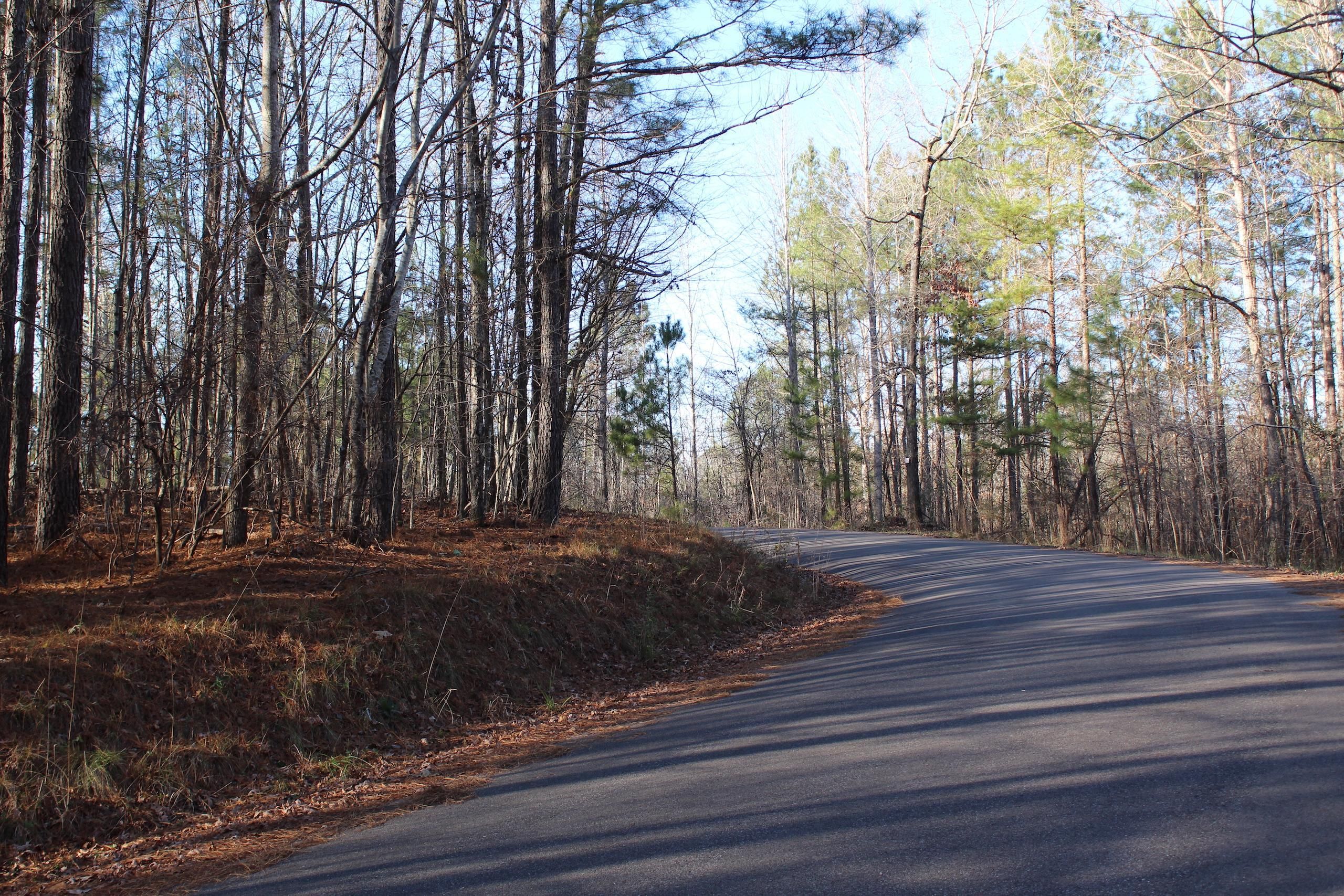 Gardendale, Jefferson County, AL Recreational Property, Timberland Property, Hunting Property