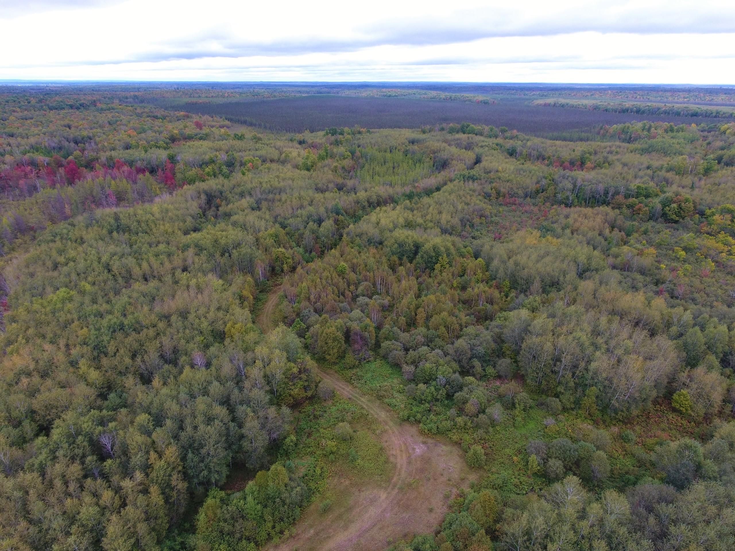Ladysmith, Rusk County, WI Recreational Property, Timberland Property