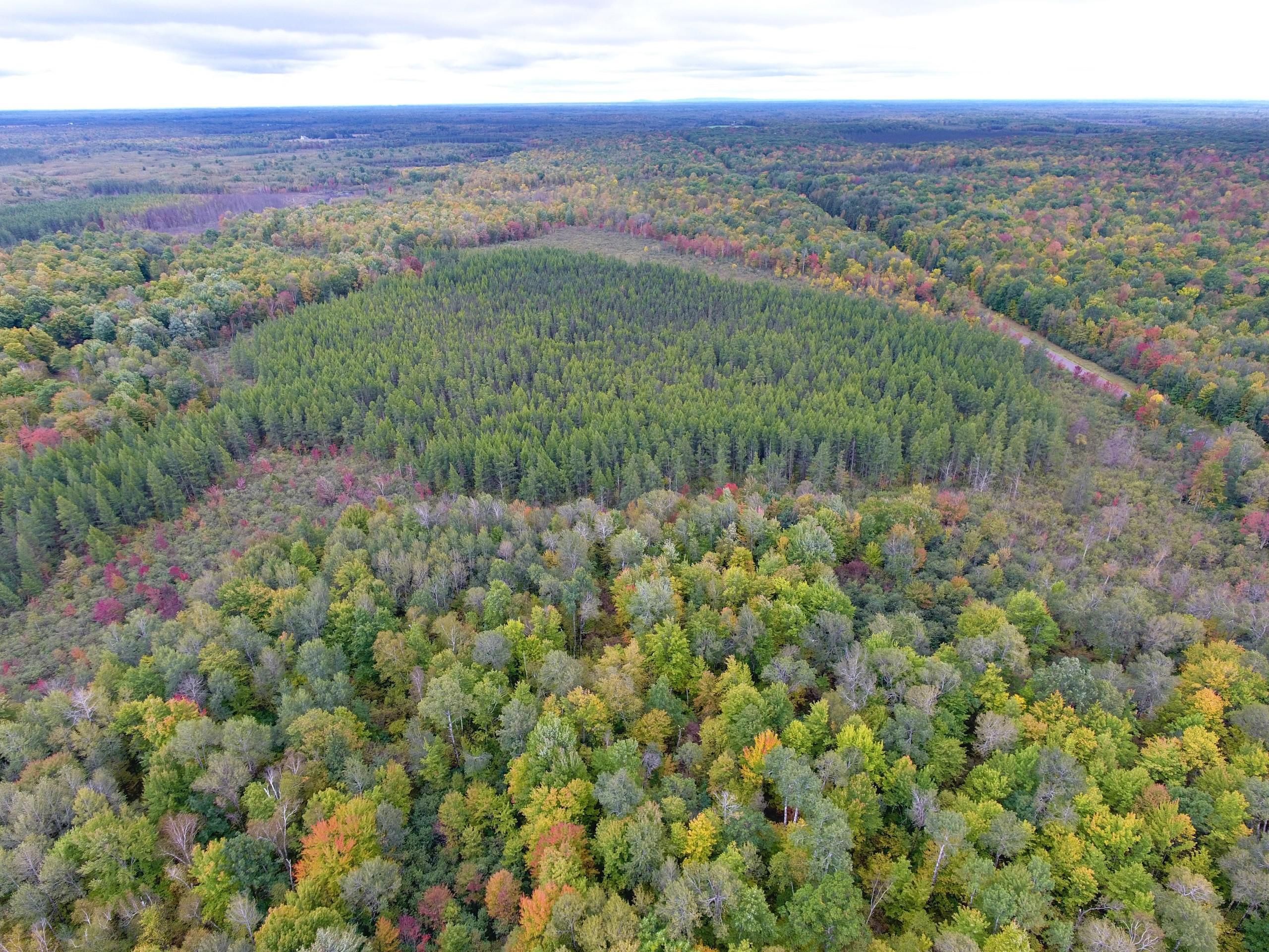 Ladysmith, Rusk County, WI Recreational Property, Hunting Property for sale Property ID