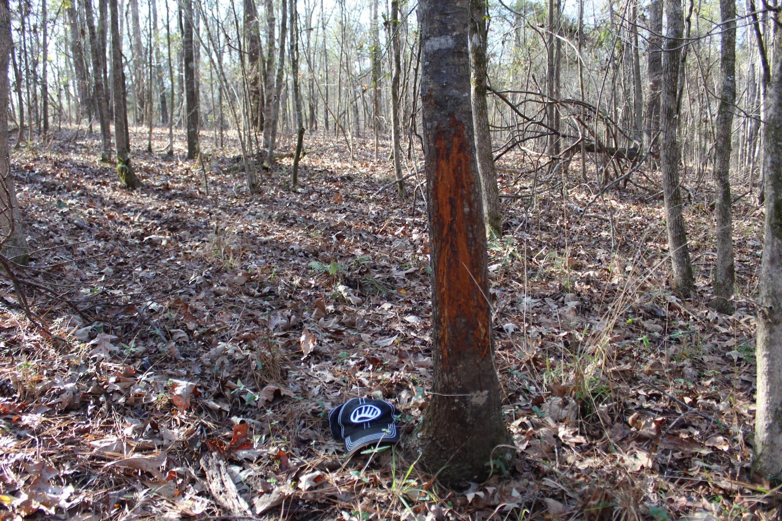 Raymond, Hinds County, MS Recreational Property, Timberland Property