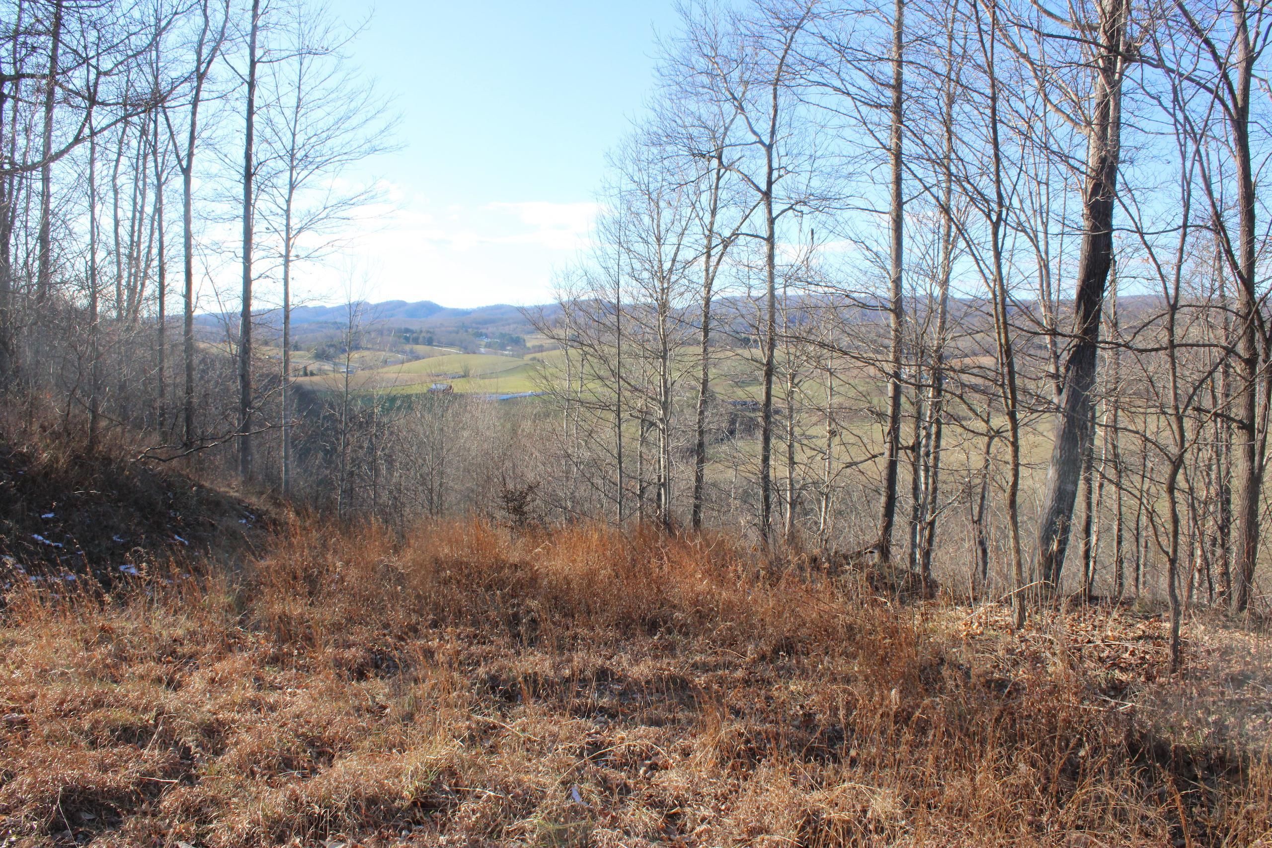 Wytheville, Wythe County, VA Recreational Property, Timberland Property