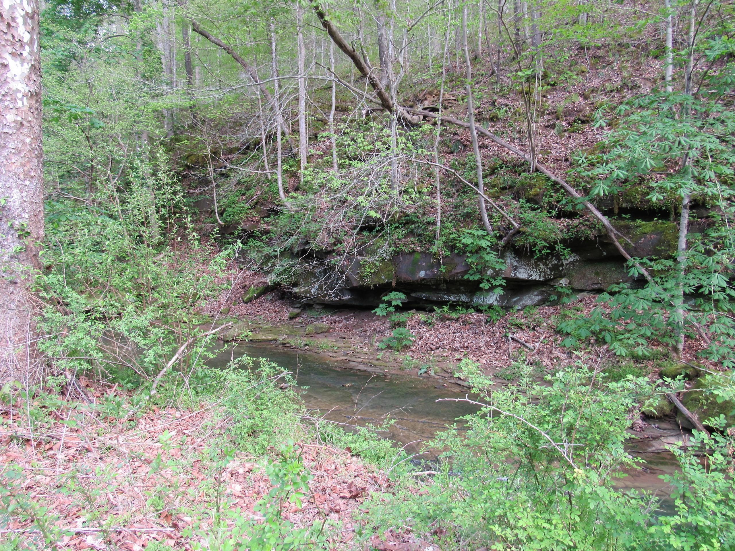 Buffalo, Mason County, WV Recreational Property, Timberland Property