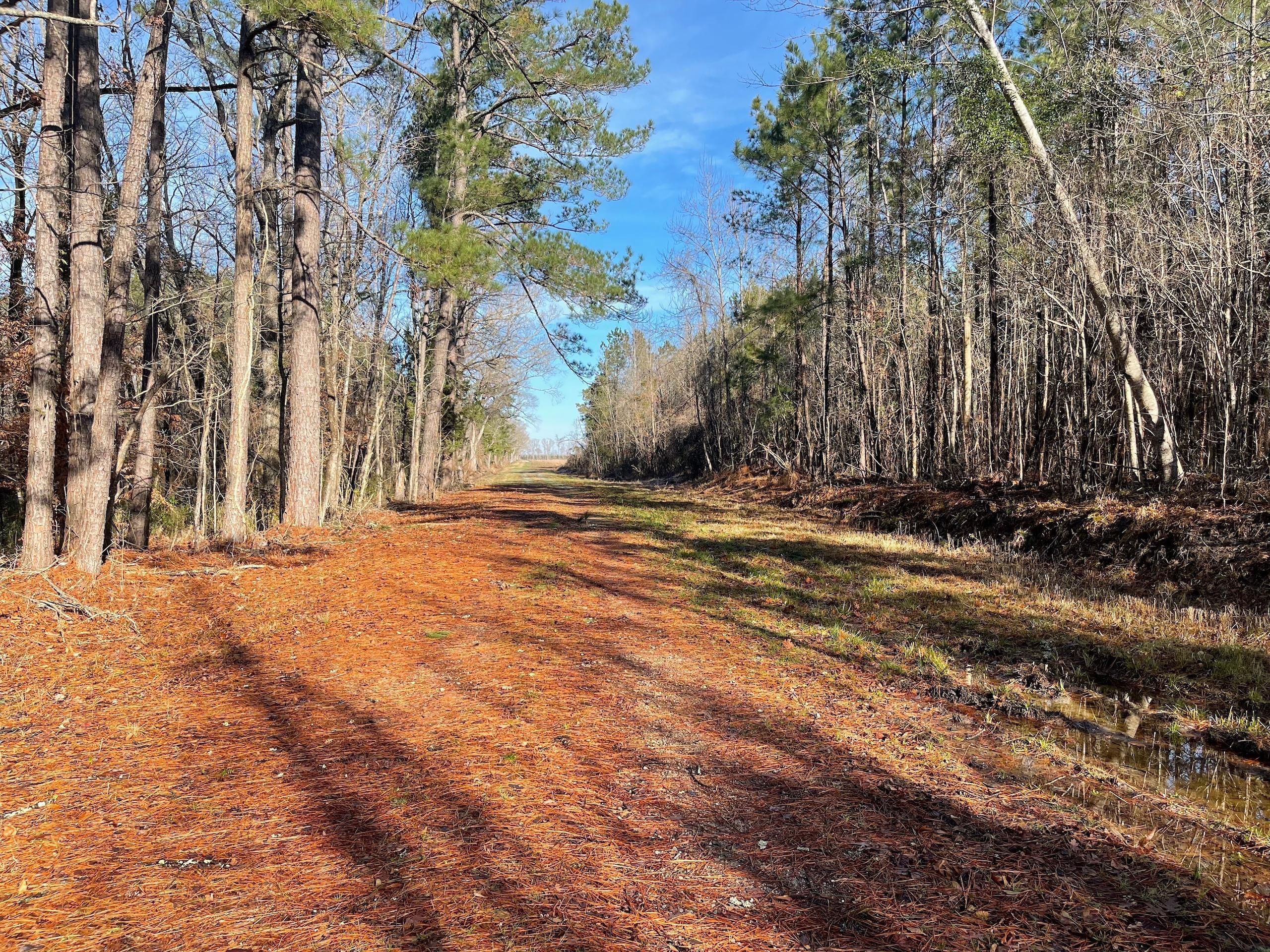 Oriental, Pamlico County, NC Recreational Property, Timberland Property