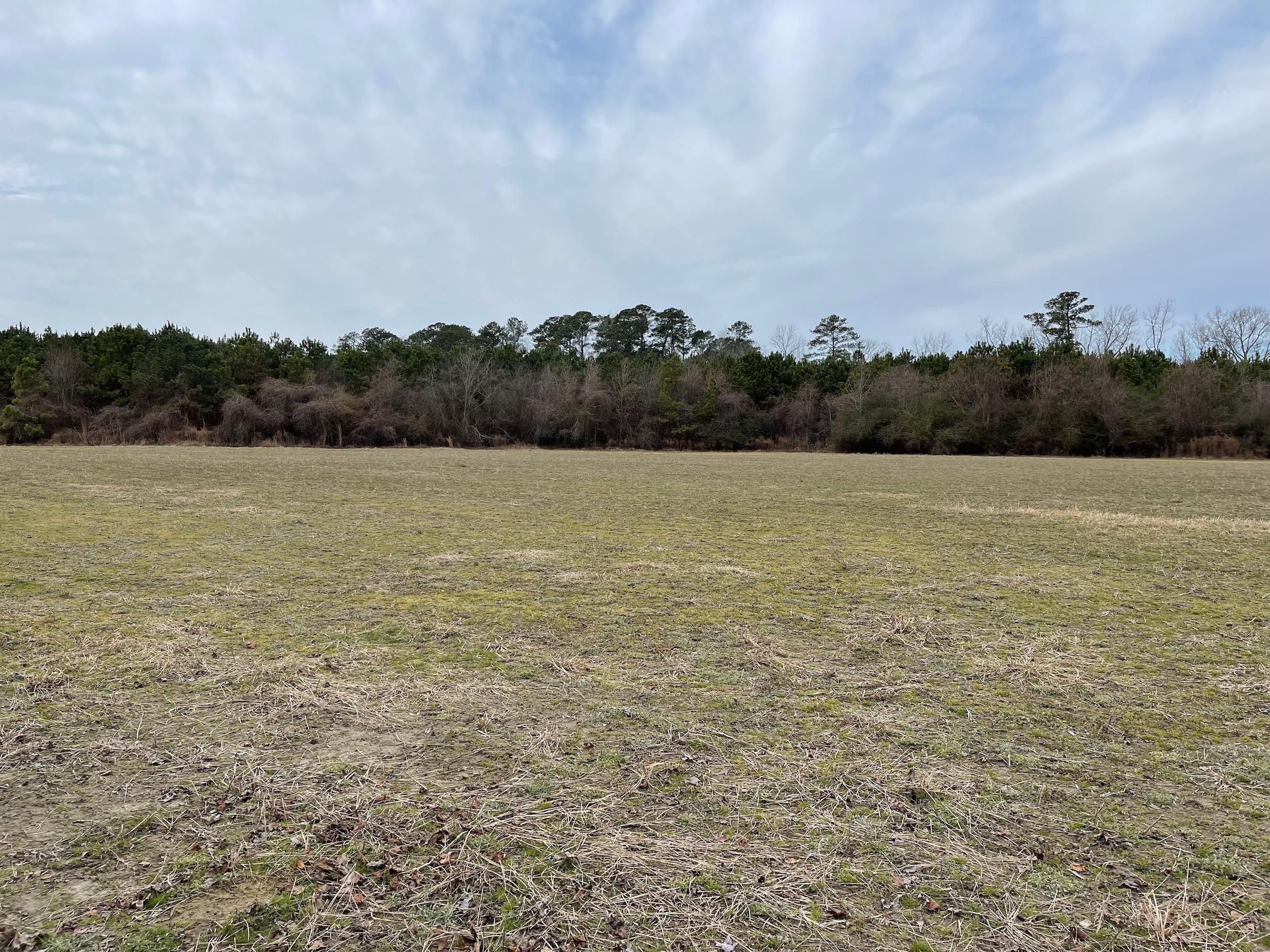 Farmville, Pitt County, NC Recreational Property, Timberland Property