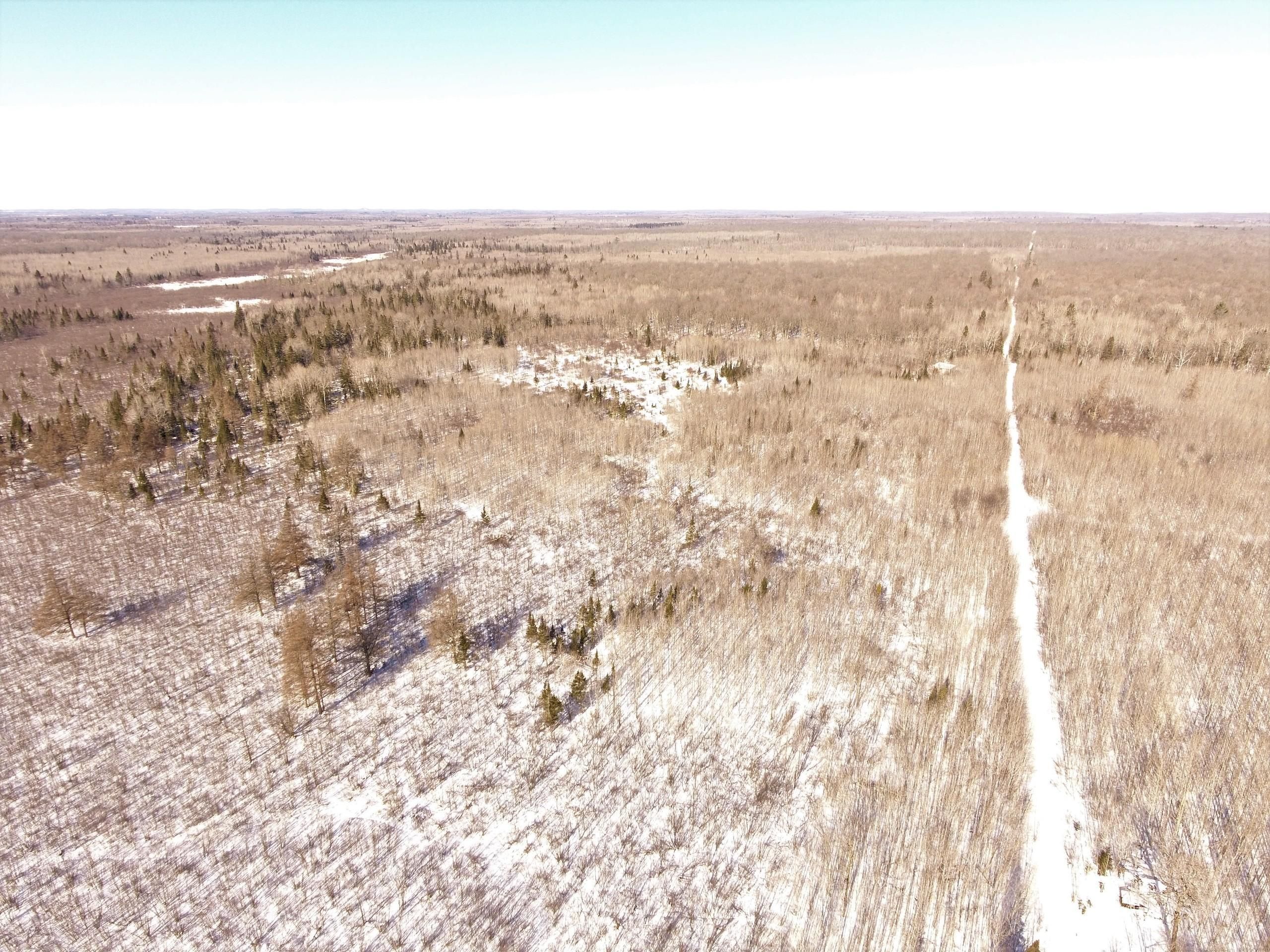 W413 Trout Ave, LotWP001, Rib Lake, WI 54470 LandWatch