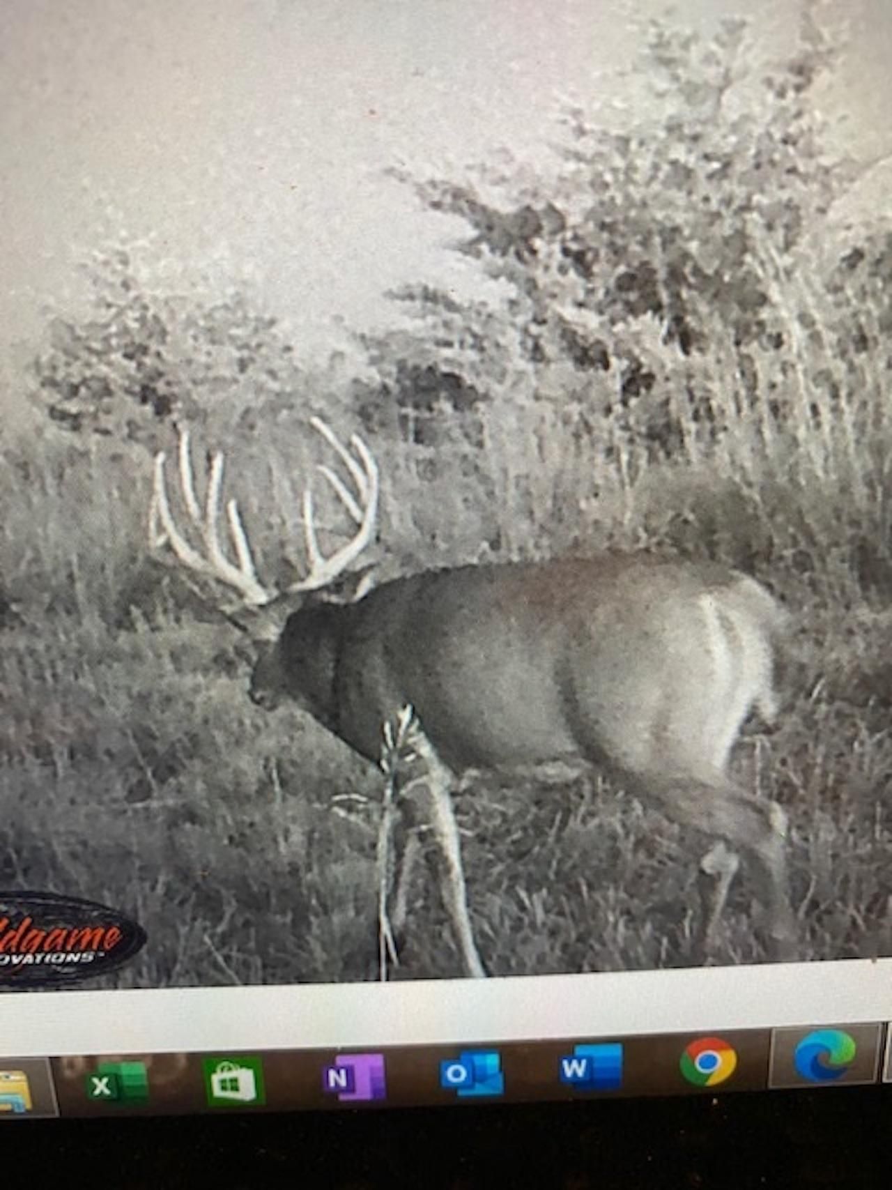 Saint John, Stafford County, KS Recreational Property, Timberland