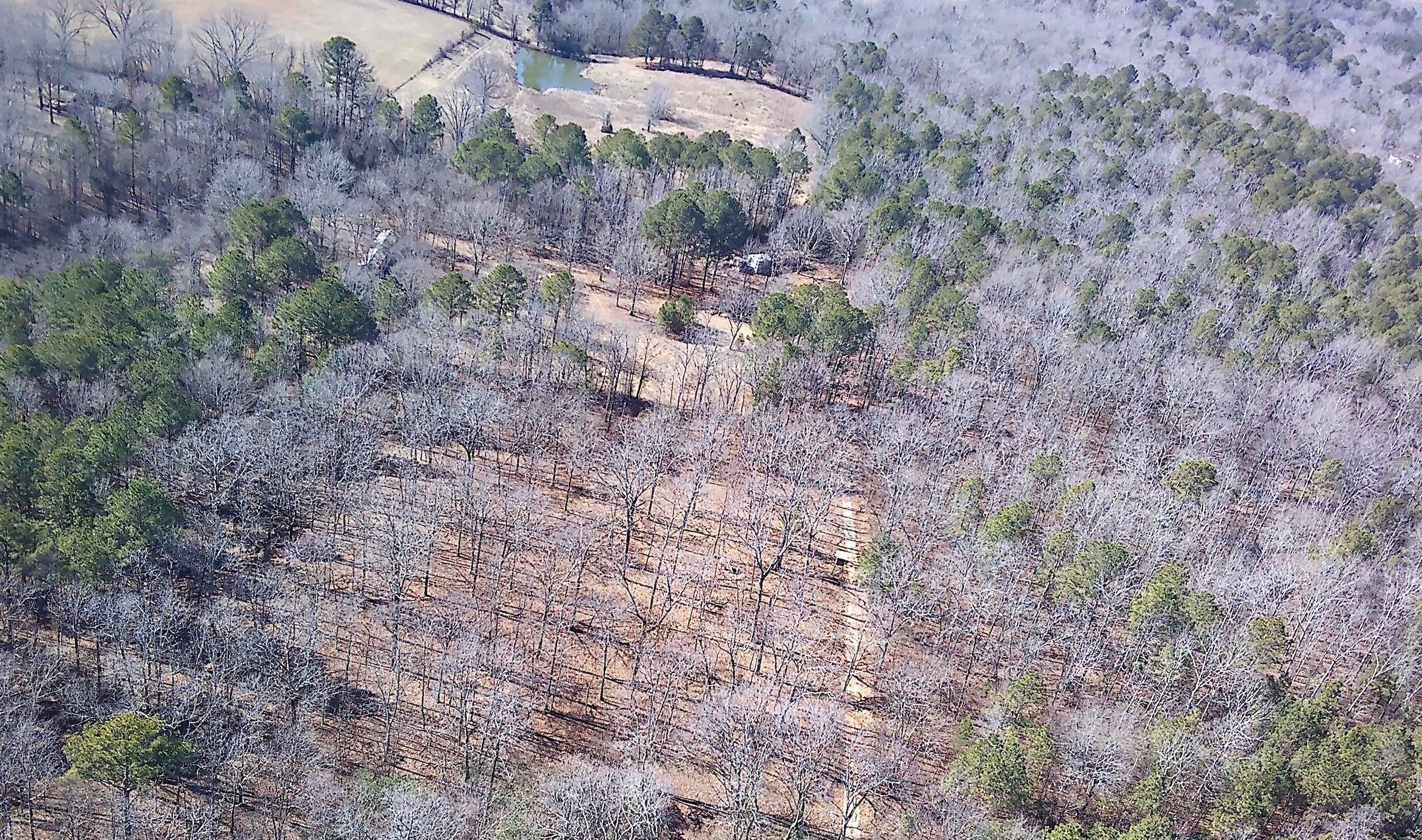 Bismarck, Hot Spring County, AR Farms and Ranches, Hunting Property