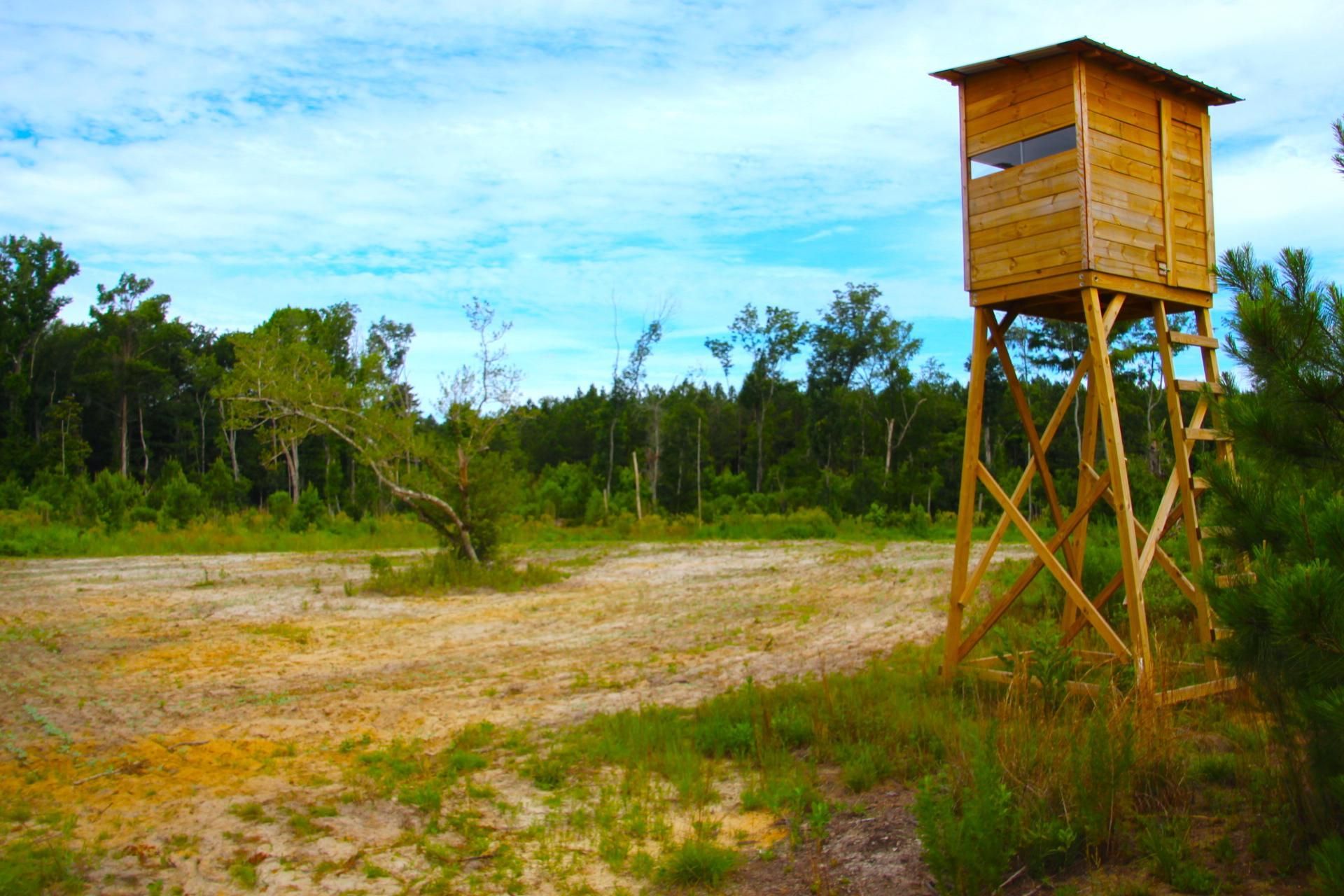 Hawkinsville, Pulaski County, GA Recreational Property, Timberland