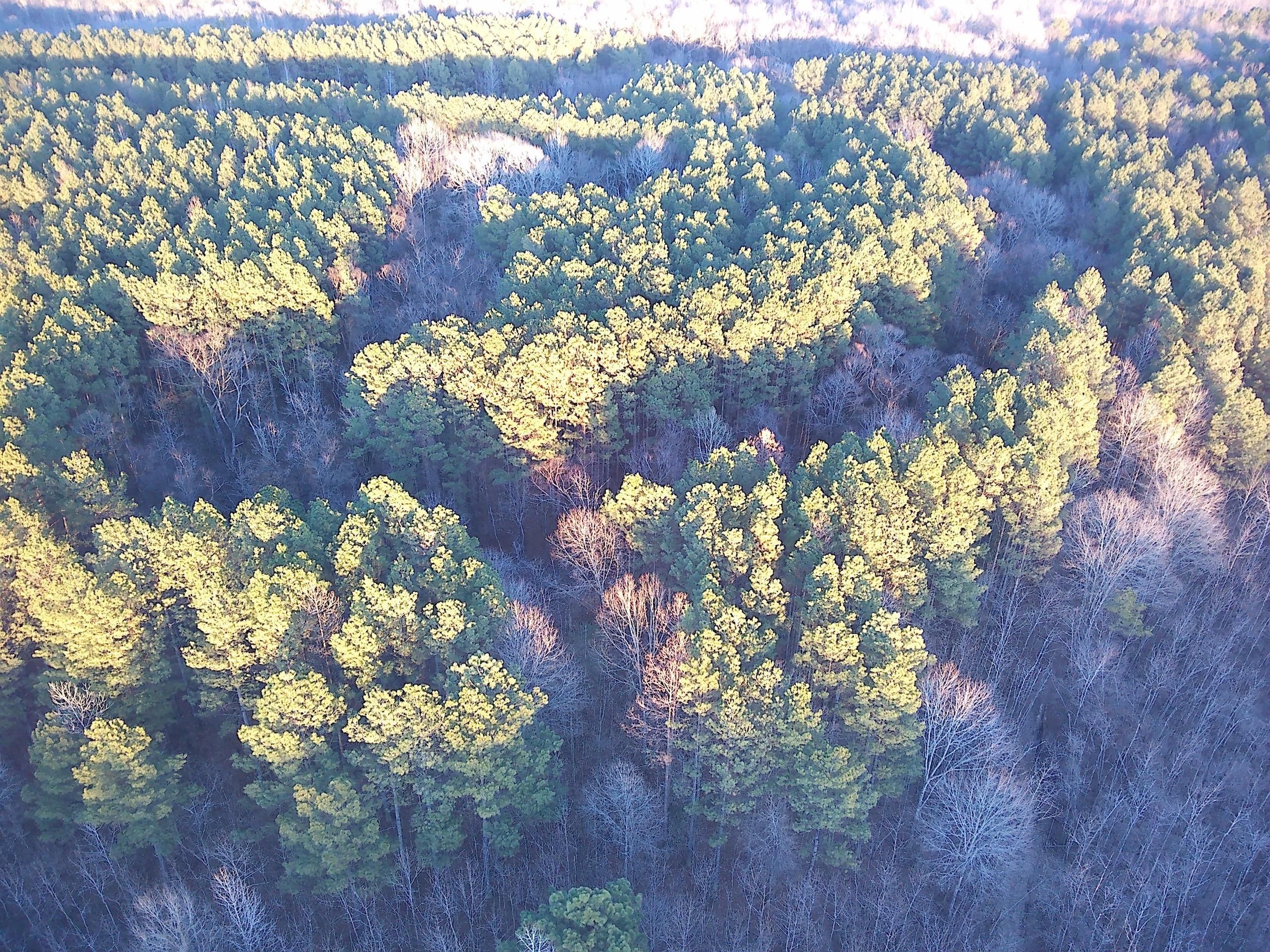 Hwy 67, Gurdon, AR 71743 LandWatch