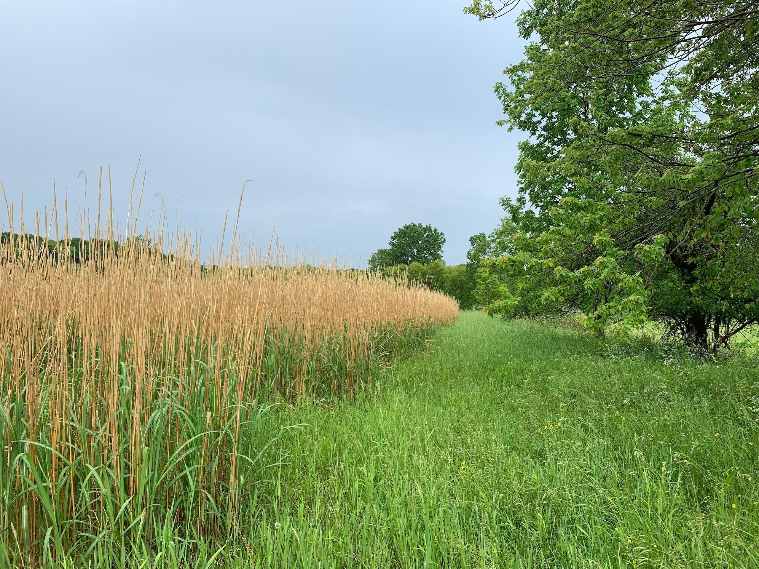 Jefferson, Ashtabula County, OH Recreational Property, Timberland