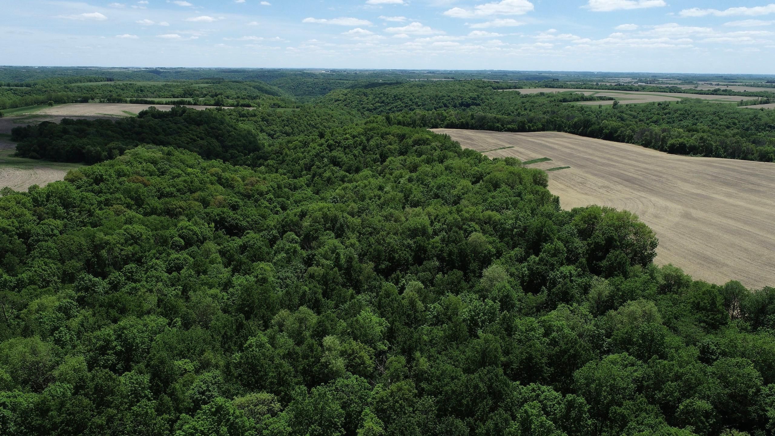 Rushford, Fillmore County, MN Recreational Property, Hunting Property