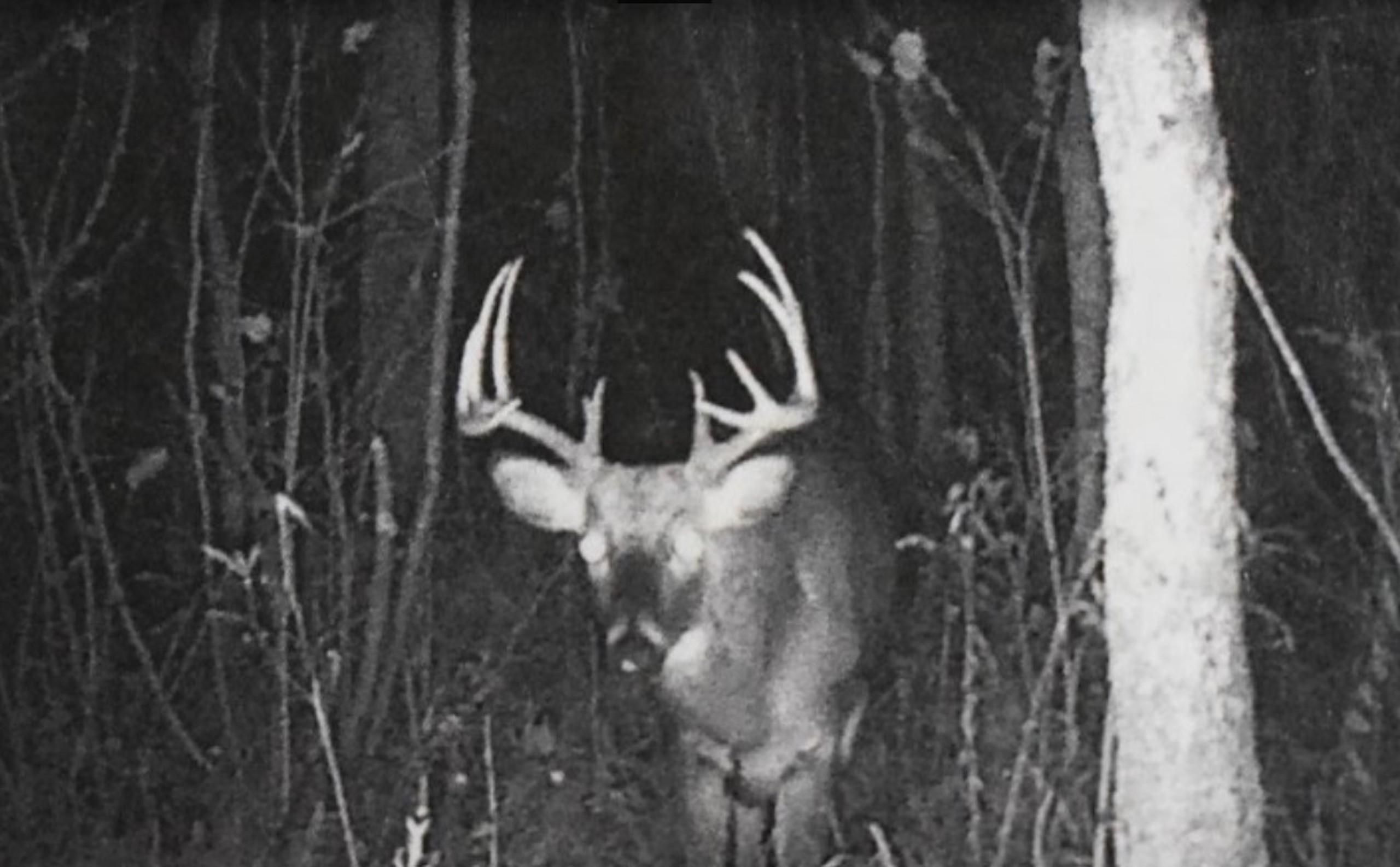 Navarino, Shawano County, WI Recreational Property, Hunting Property