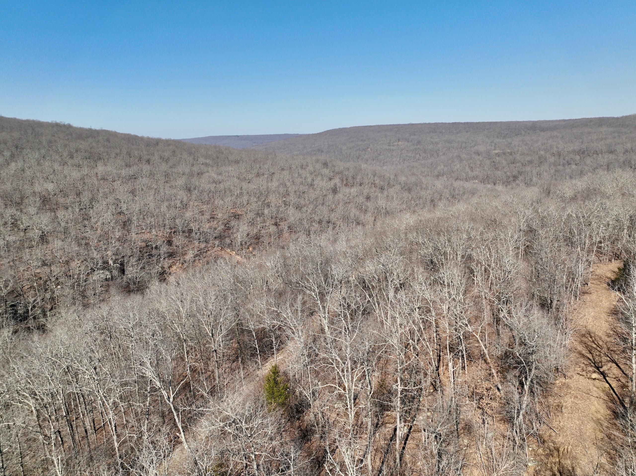 Witter, Madison County, AR Recreational Property, Timberland Property