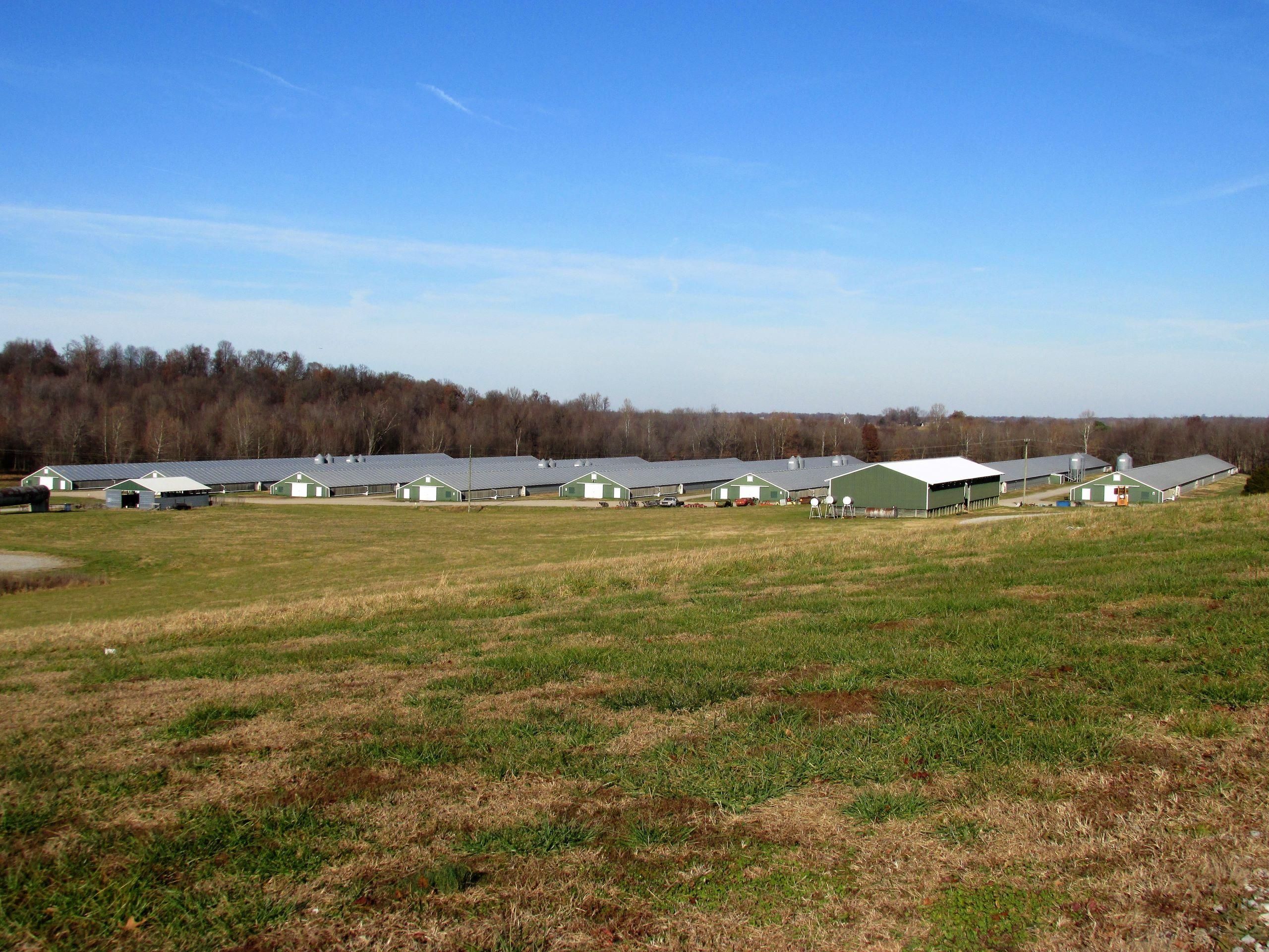 Sebree, Webster County, KY Farms and Ranches for sale Property ID