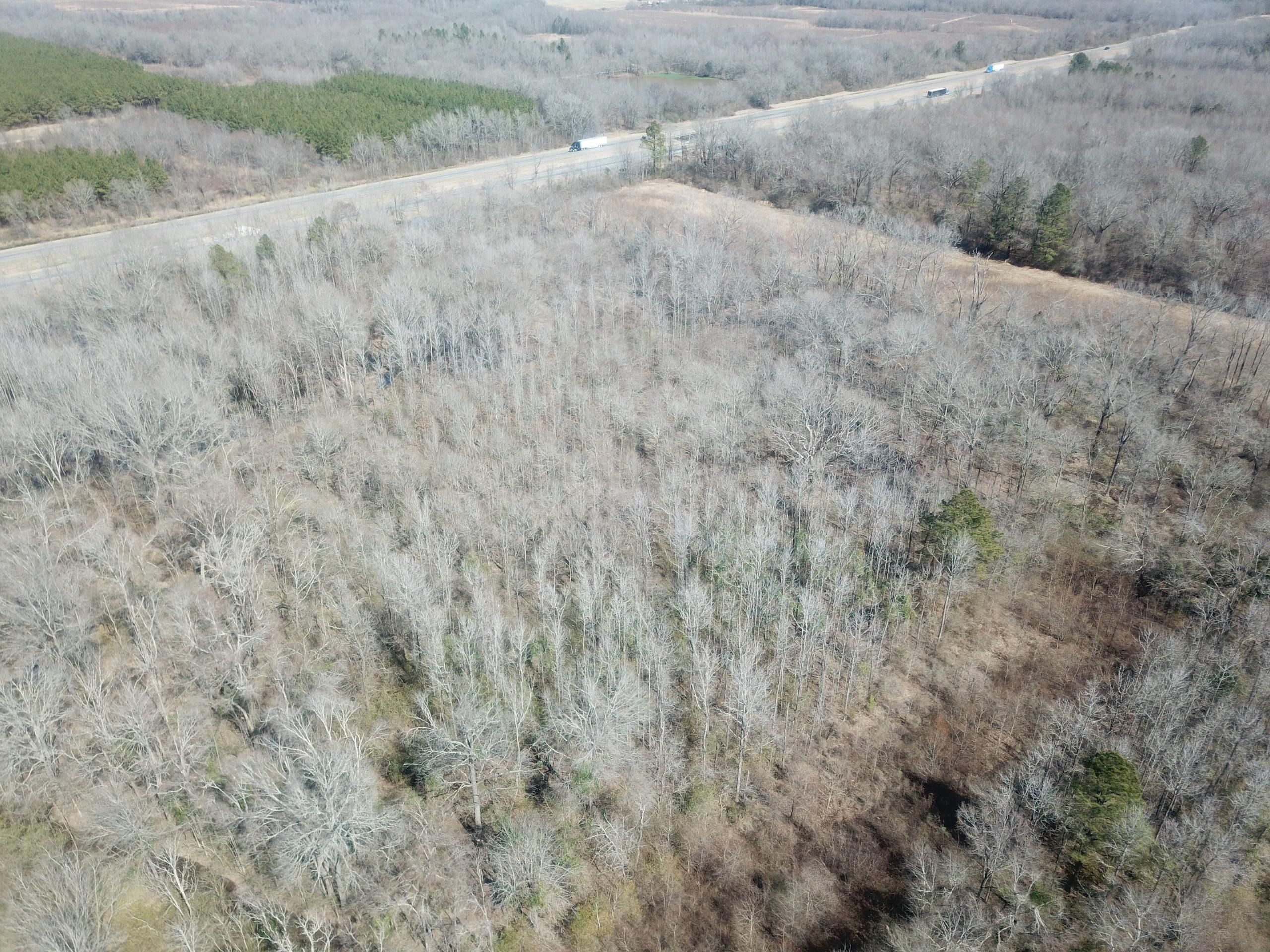 Delhi, Richland Parish, LA Recreational Property, Timberland Property