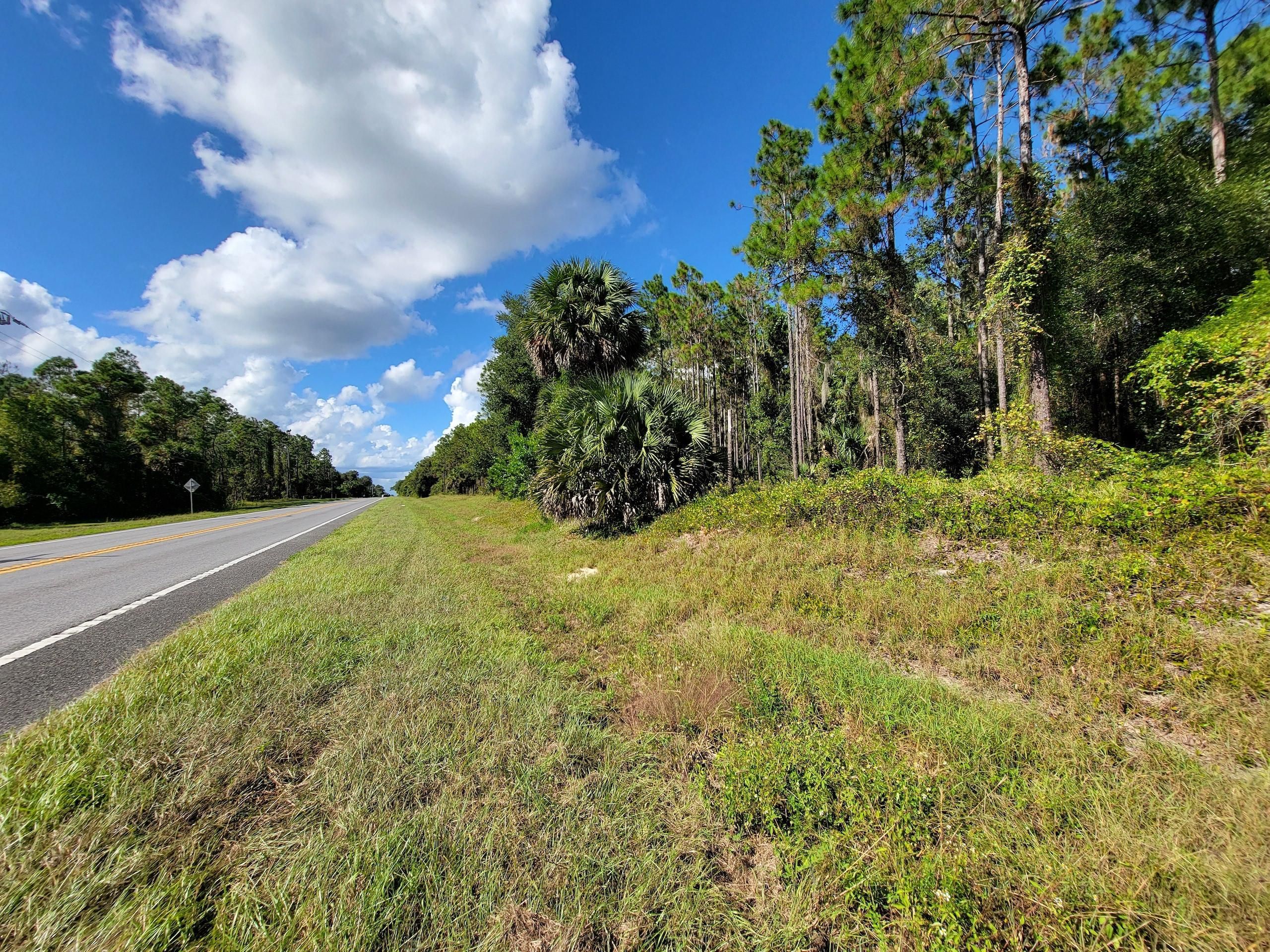 Geneva, Seminole County, FL Recreational Property, Timberland Property
