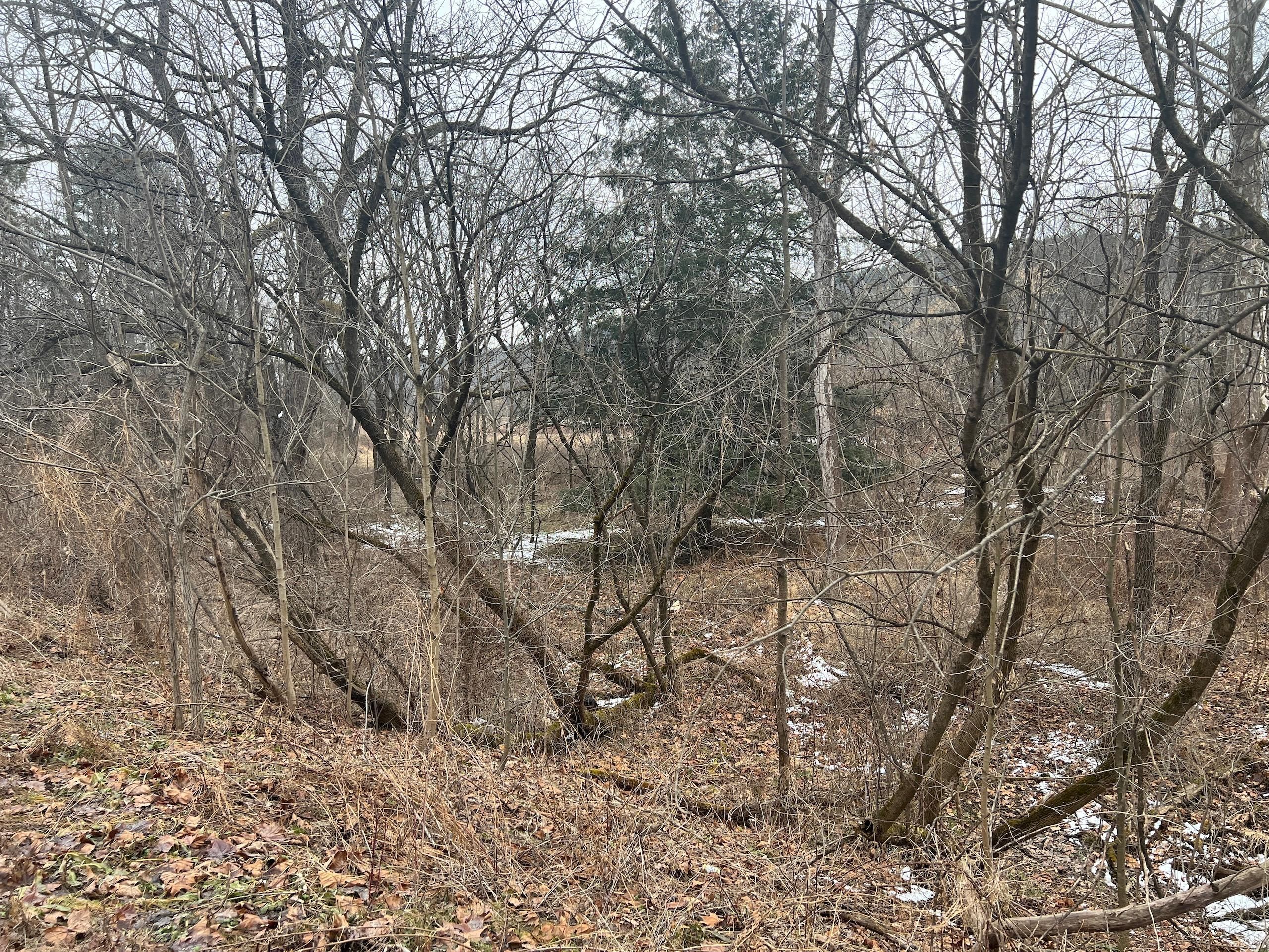 Nicholson, Wyoming County, PA Recreational Property, Timberland