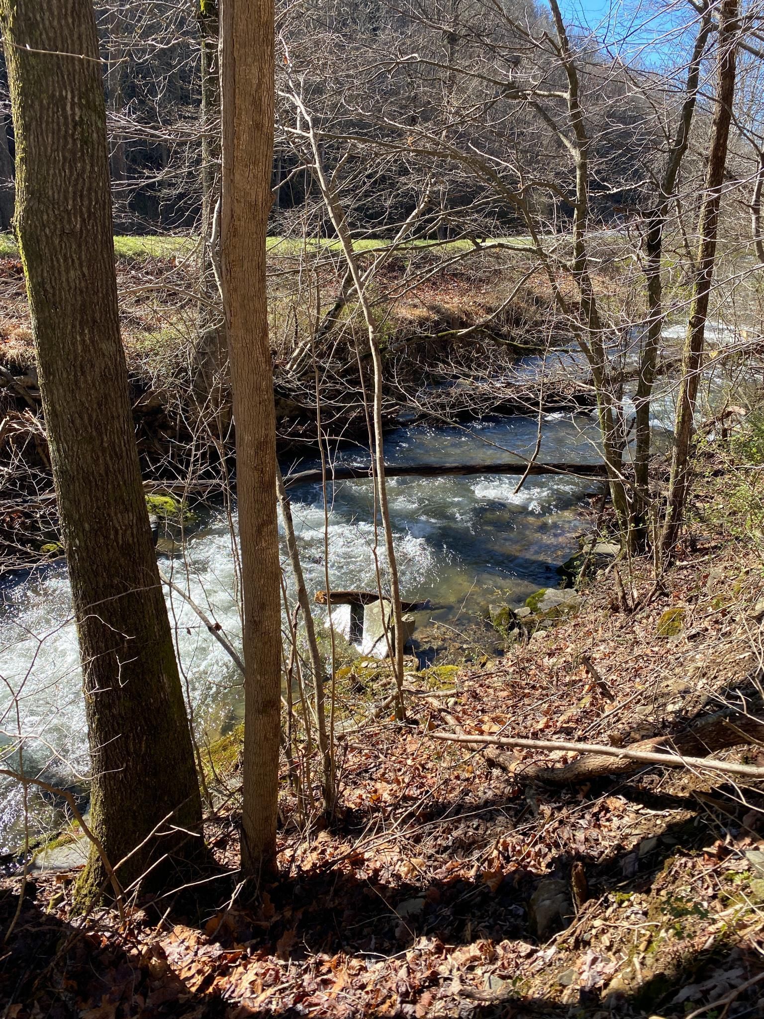 Andrews, Cherokee County, NC Recreational Property, Timberland Property, Hunting Property for