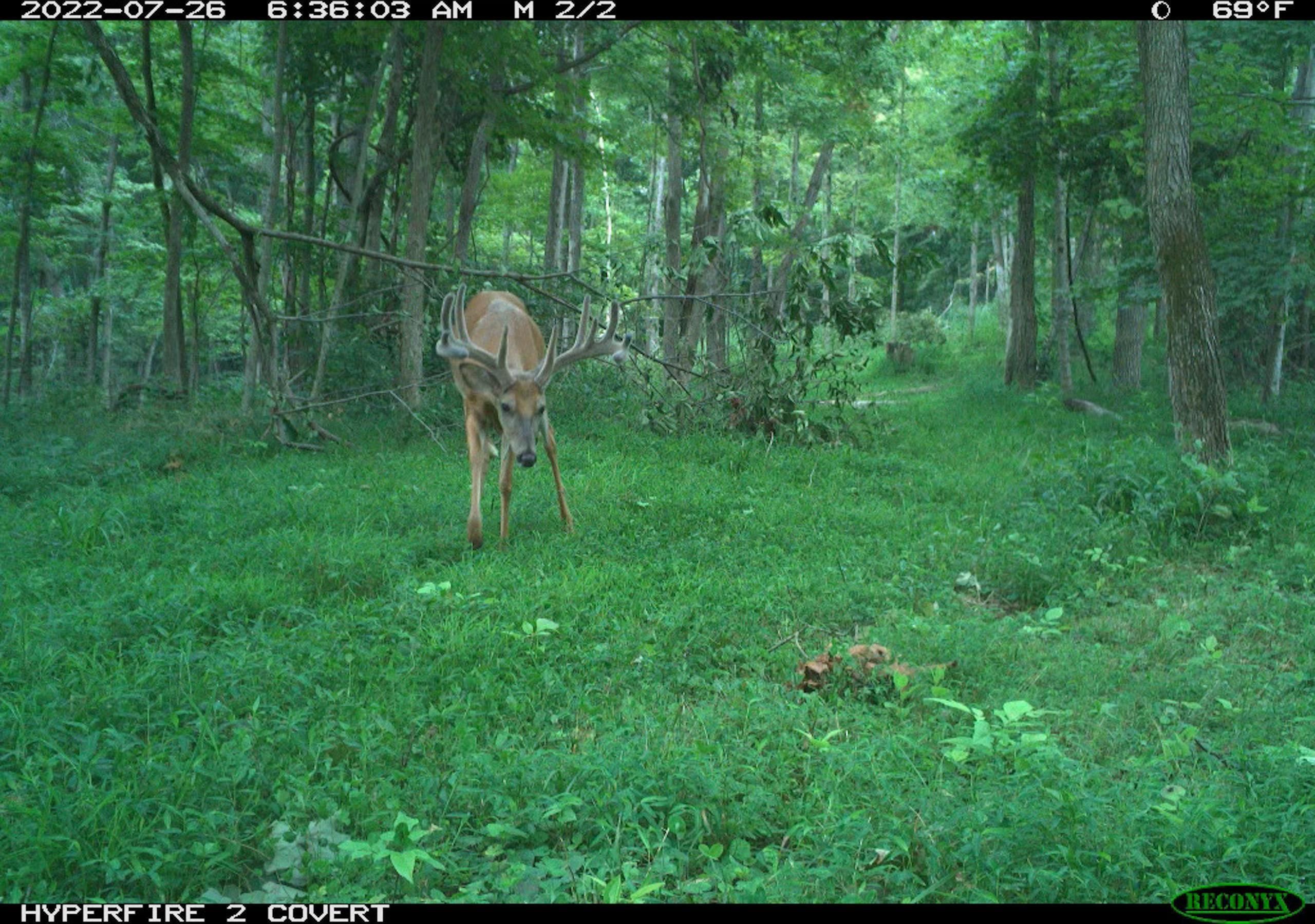 Pomeroy, Meigs County, OH Farms and Ranches, Recreational Property, Timberland Property for sale