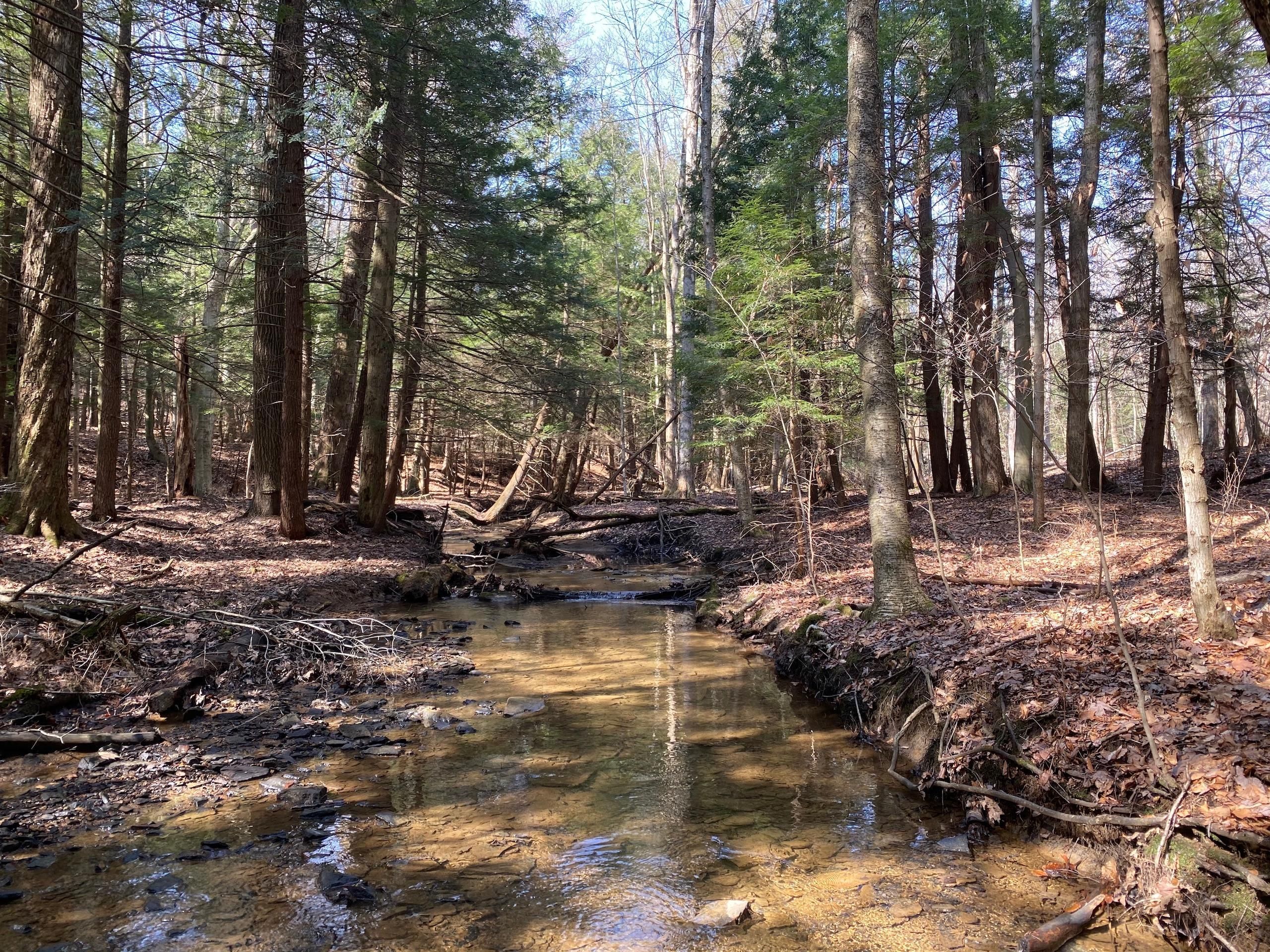 Gipsy, Indiana County, PA Recreational Property, Timberland Property