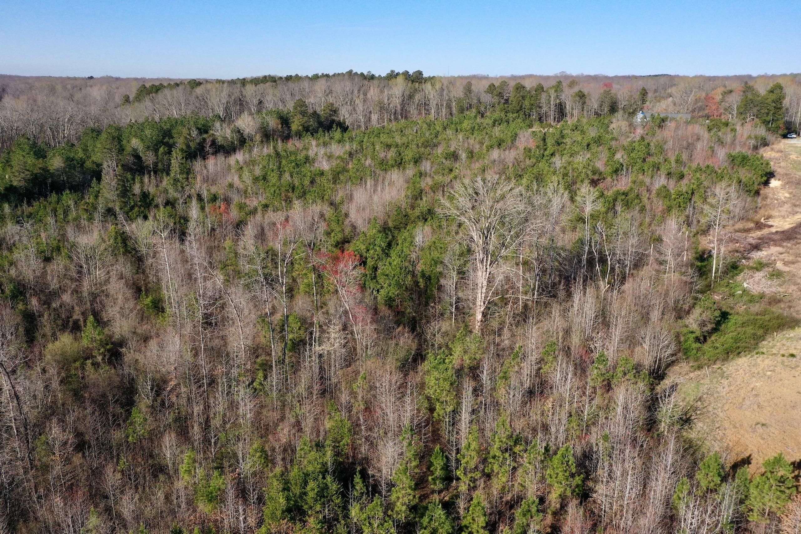 Winston Salem, Davidson County, NC Farms and Ranches, Hunting Property