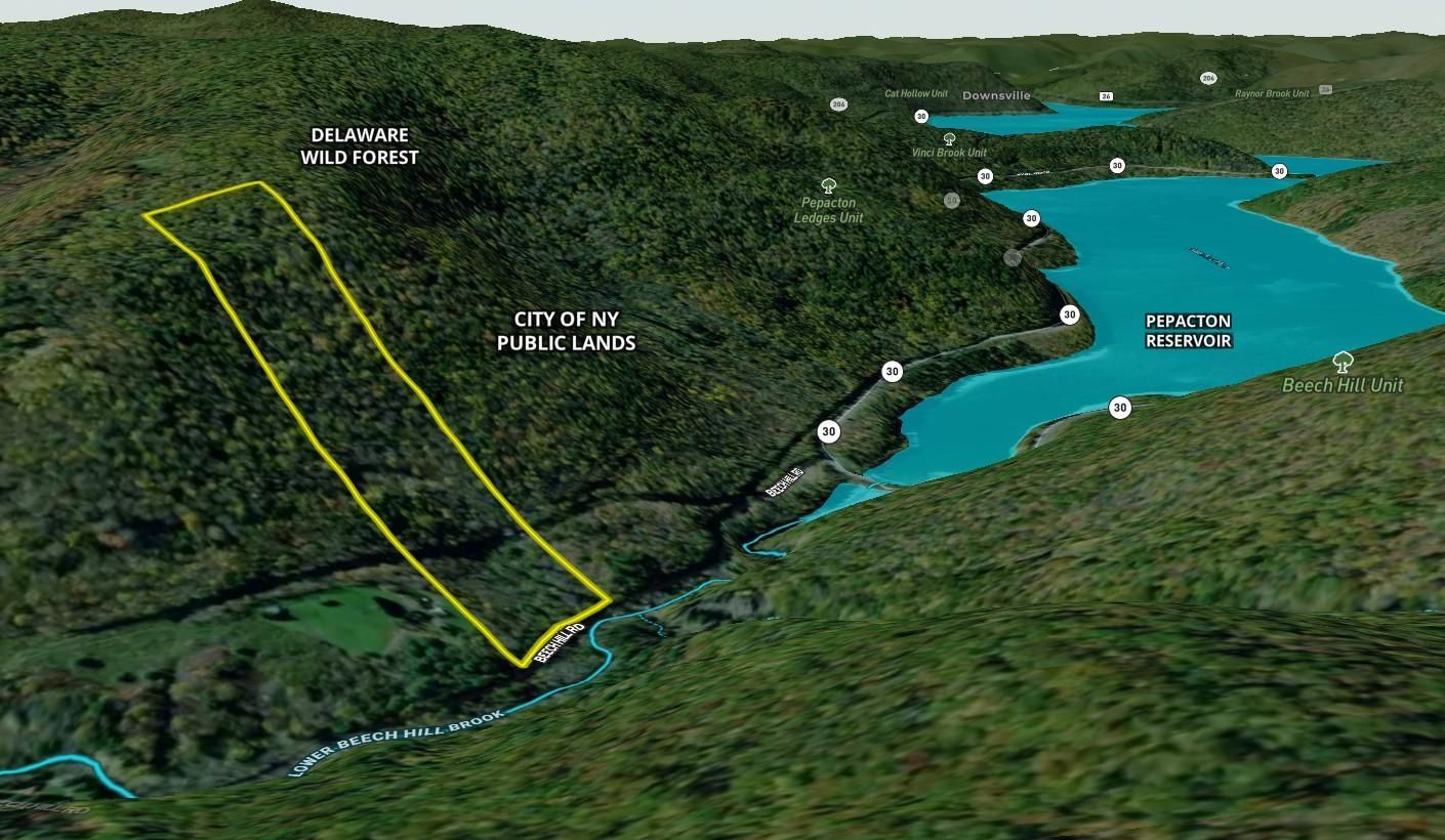 Andes, Delaware County, NY Recreational Property, Timberland Property