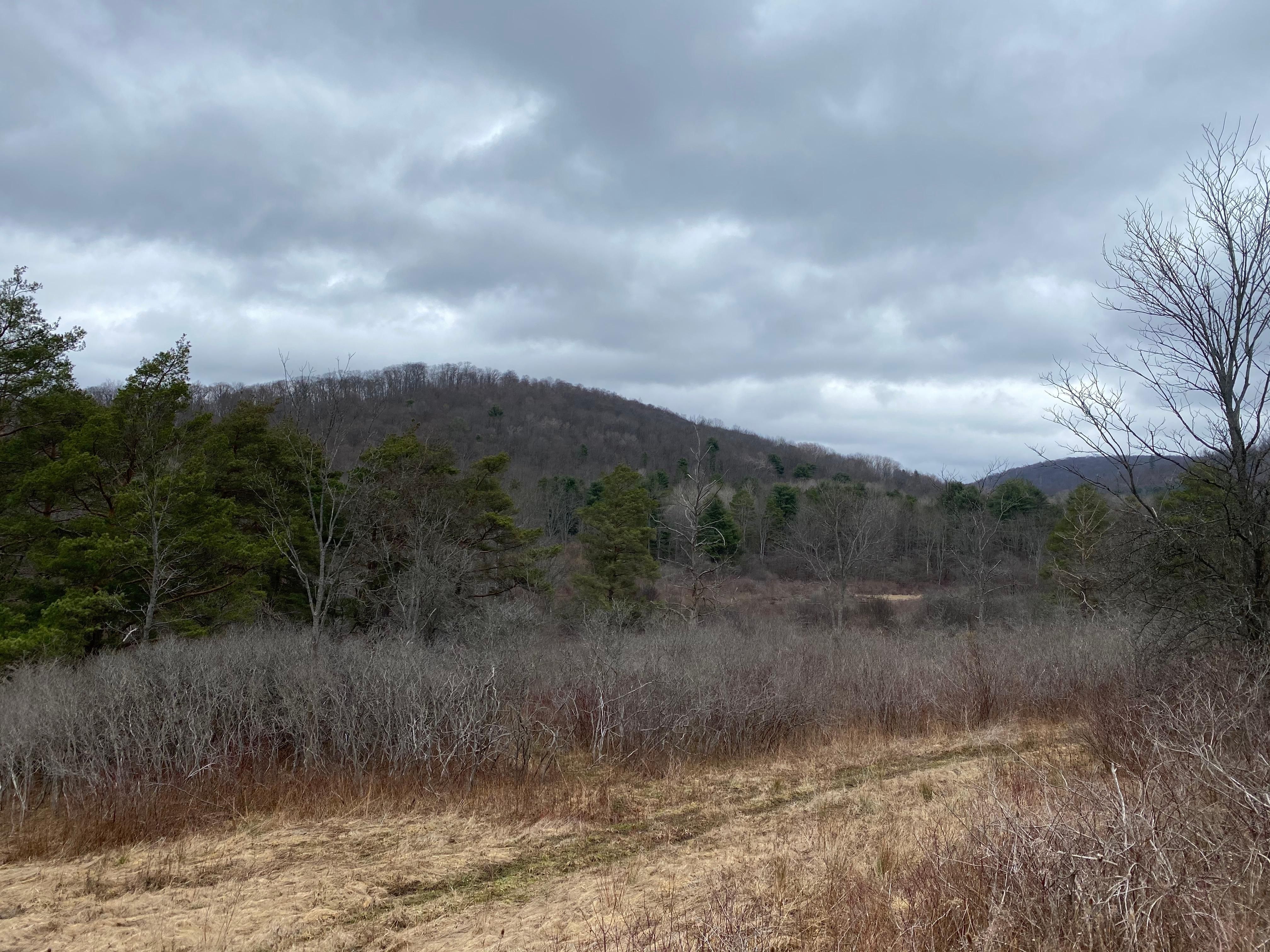 Bradford, McKean County, PA Recreational Property, Timberland Property