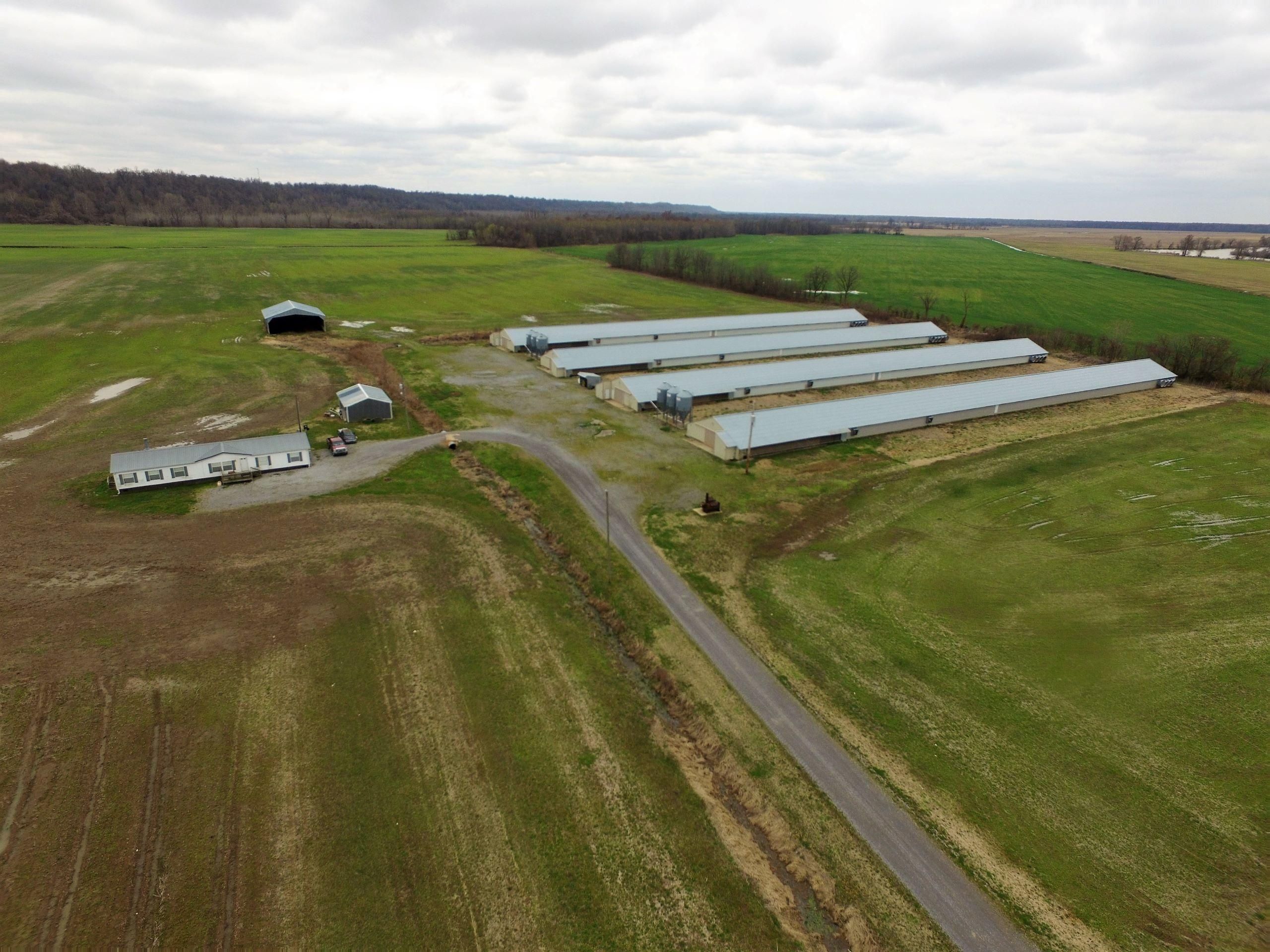 6125 State Route 1282, Hickman, KY 42050 LandWatch