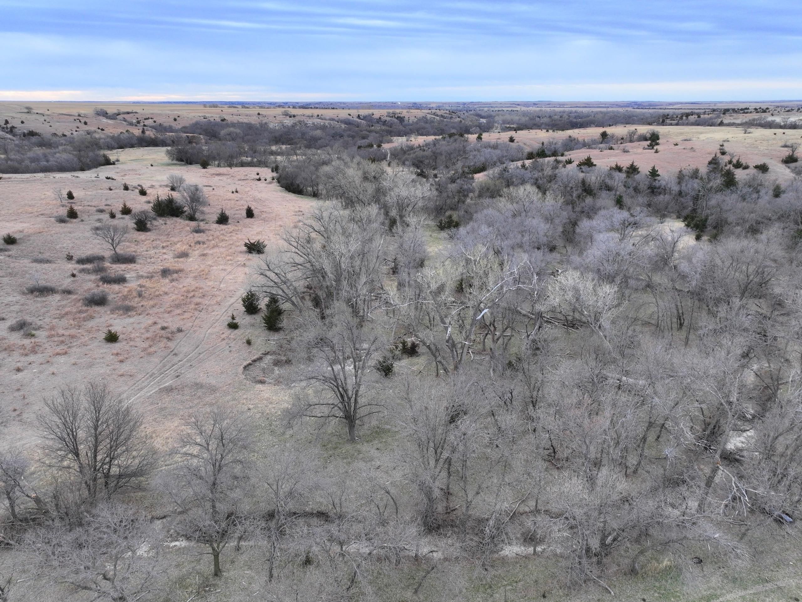 Stockton, Rooks County, KS Recreational Property, Timberland Property