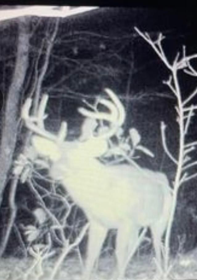 Burna, Livingston County, KY Recreational Property, Undeveloped Land