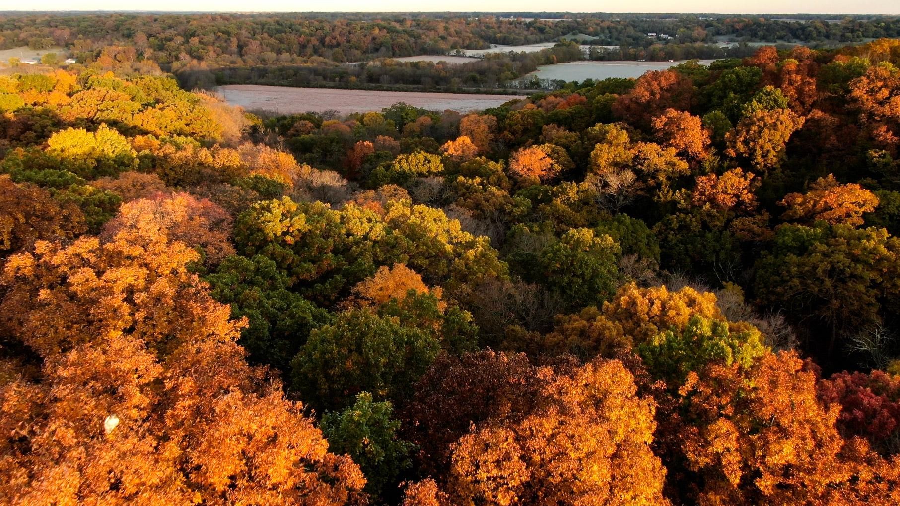 1440 Pleasantview Rd, Washburn, IL 61570 MLS CA1015026 LandWatch