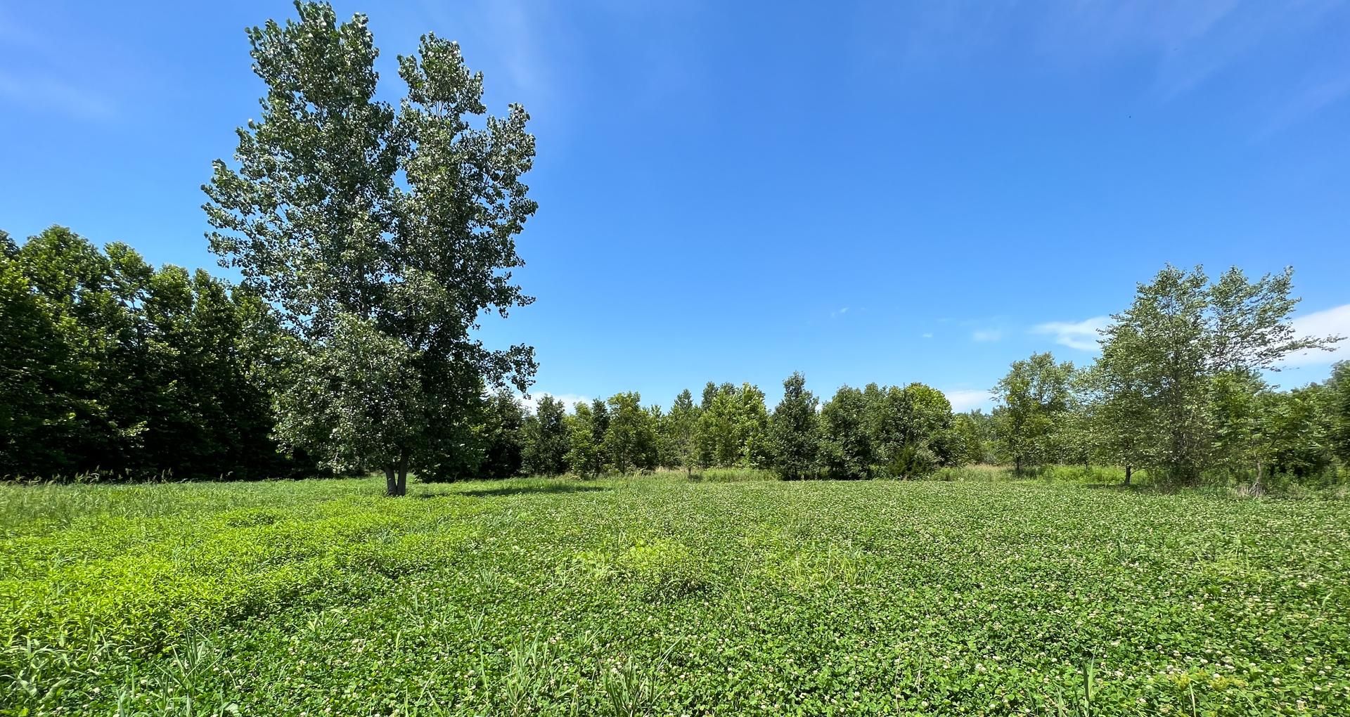 4974 East 400th Street, Colchester, IL 62326 MLS CA1016513 LandWatch