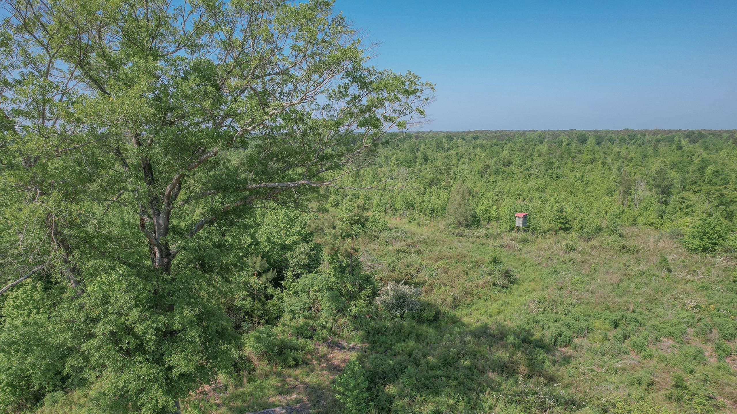 Ozan, Hempstead County, AR Recreational Property, Hunting Property for