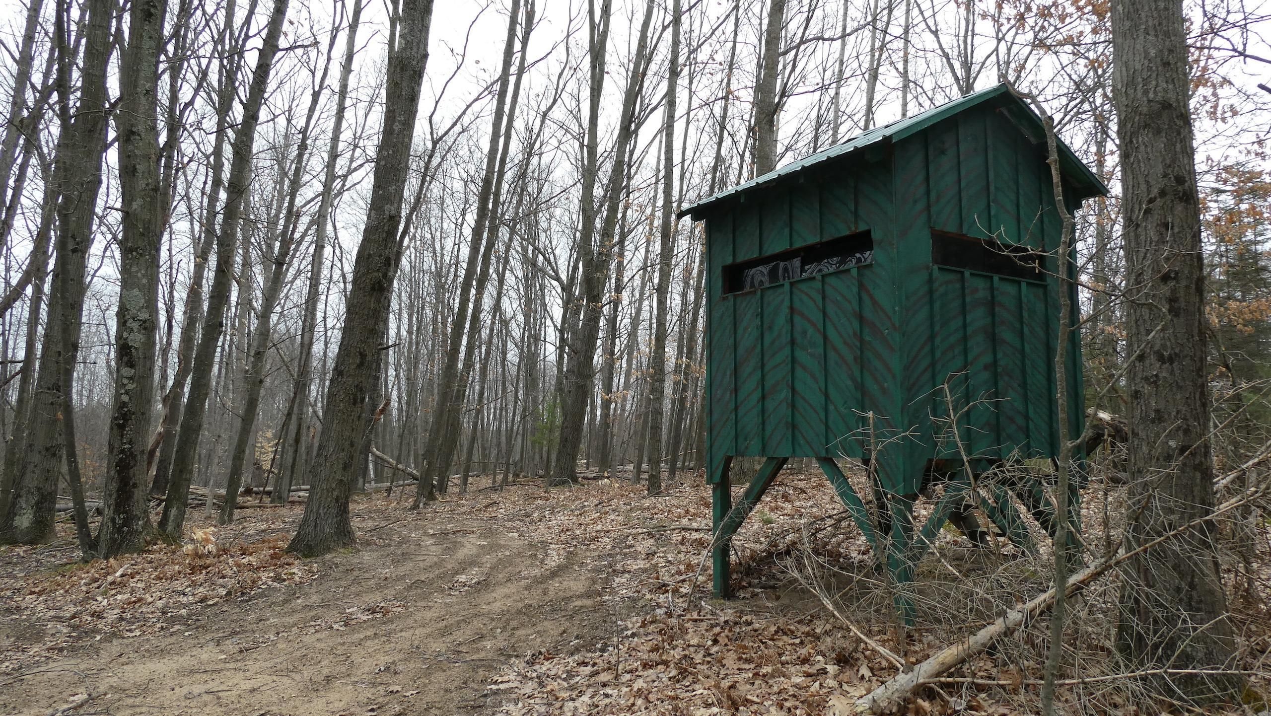 Stanwood, Mecosta County, MI Recreational Property, Timberland Property