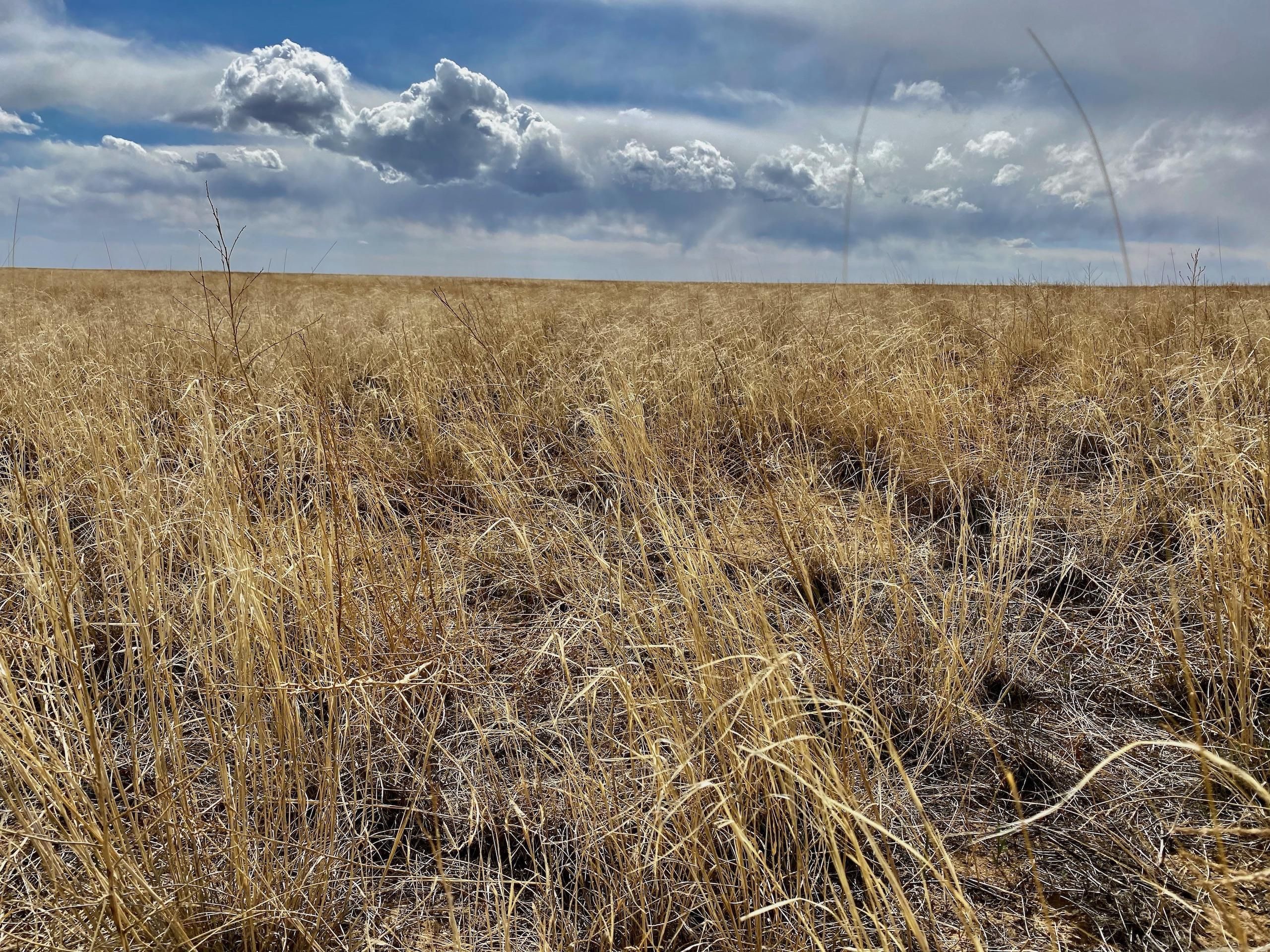 Arlington, Kiowa County, CO Farms and Ranches, Recreational Property for sale Property ID