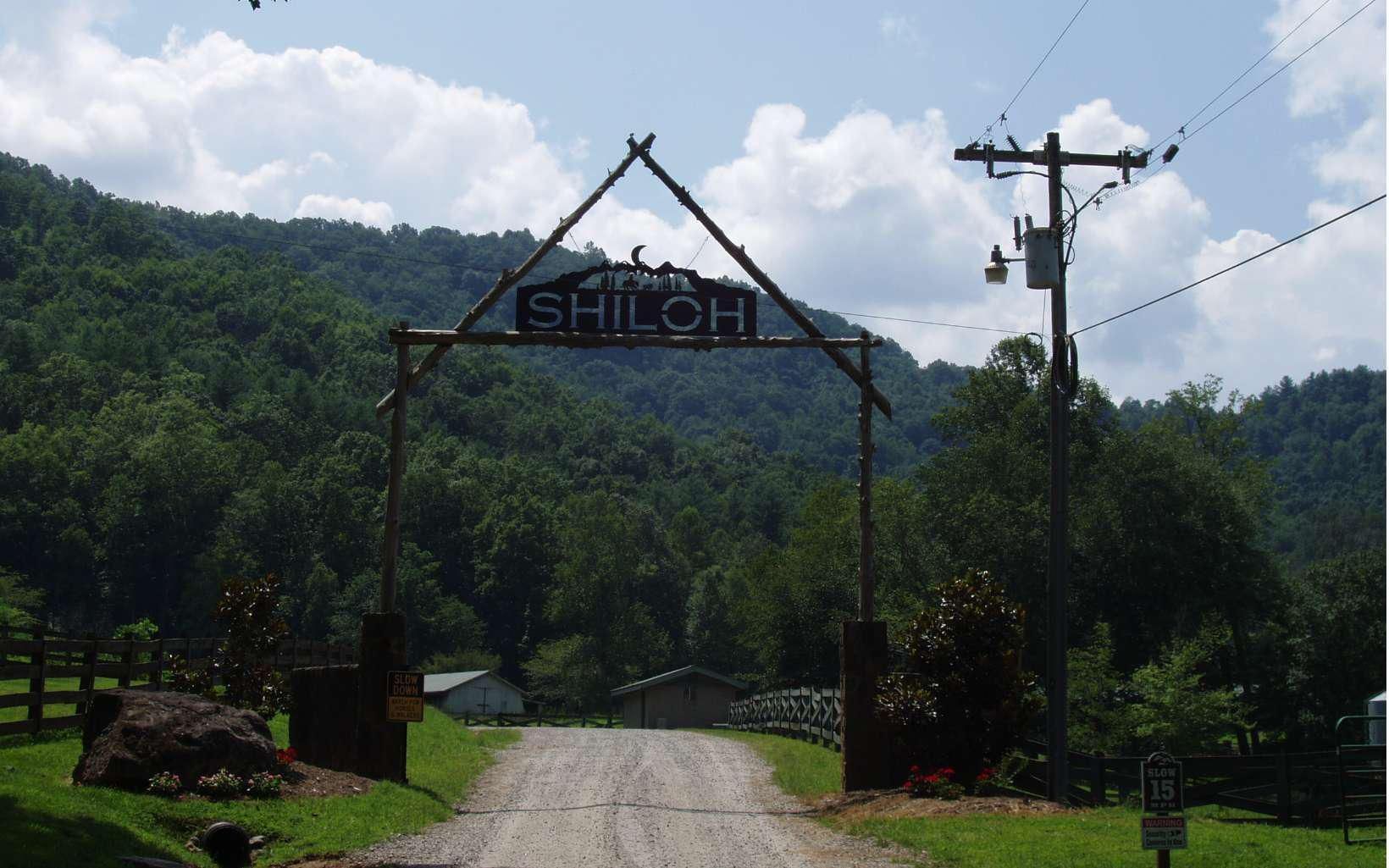 Hayesville, Clay County, NC Undeveloped Land, Horse Property, Homesites