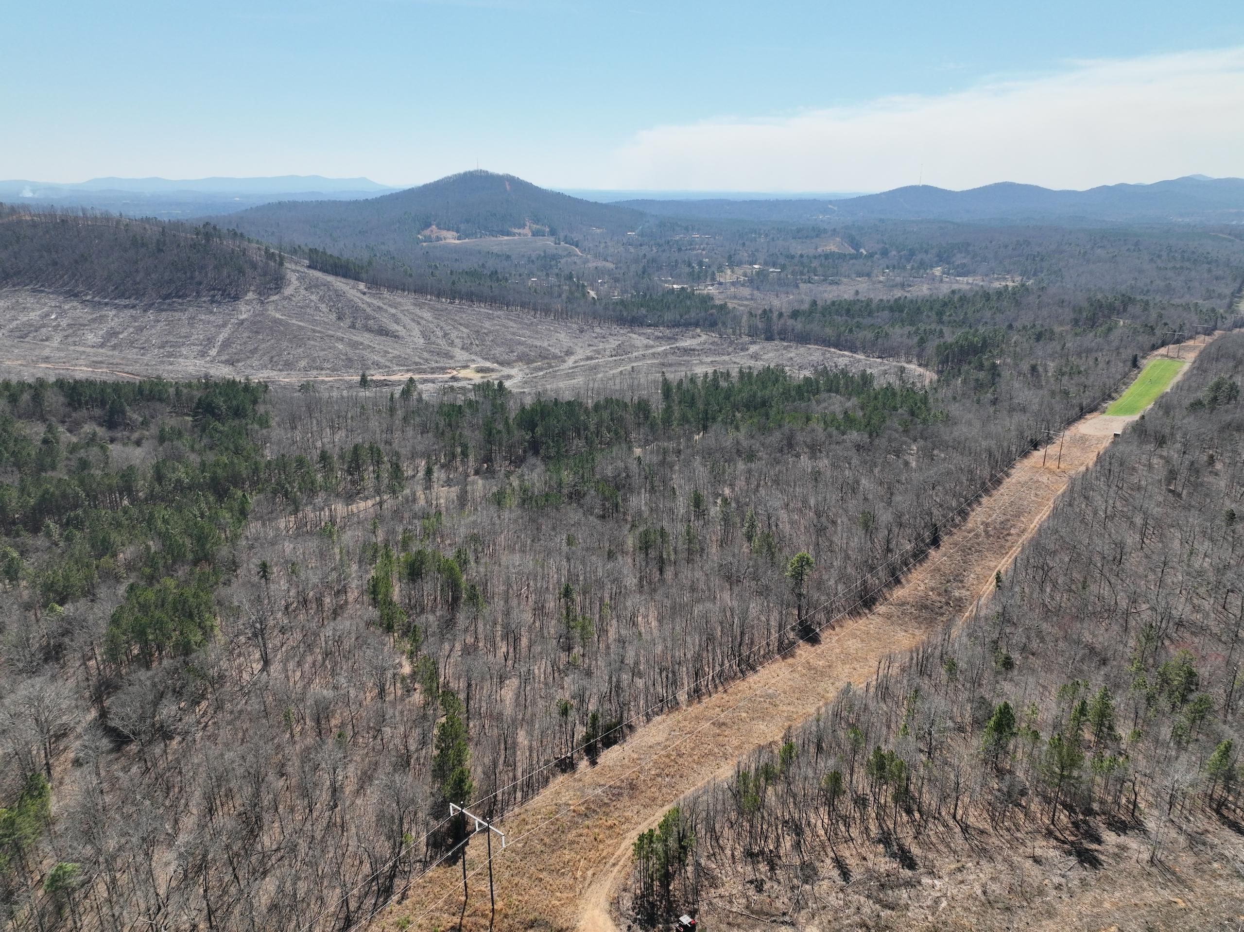 Talladega, Talladega County, AL Recreational Property, Timberland