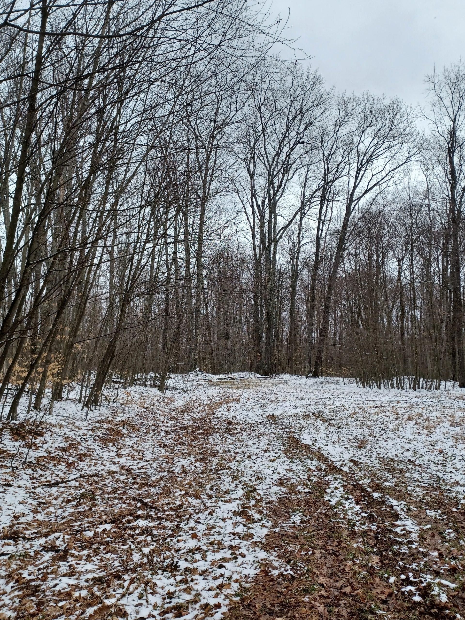Galeton, Potter County, PA Recreational Property, Timberland Property
