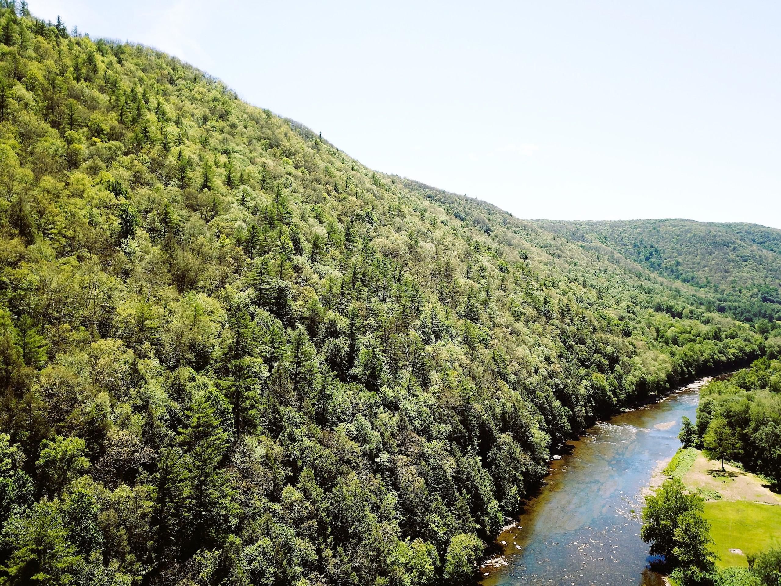 Wycoff Run Road, LotWP001, Sinnemahoning, PA 15861 LandWatch