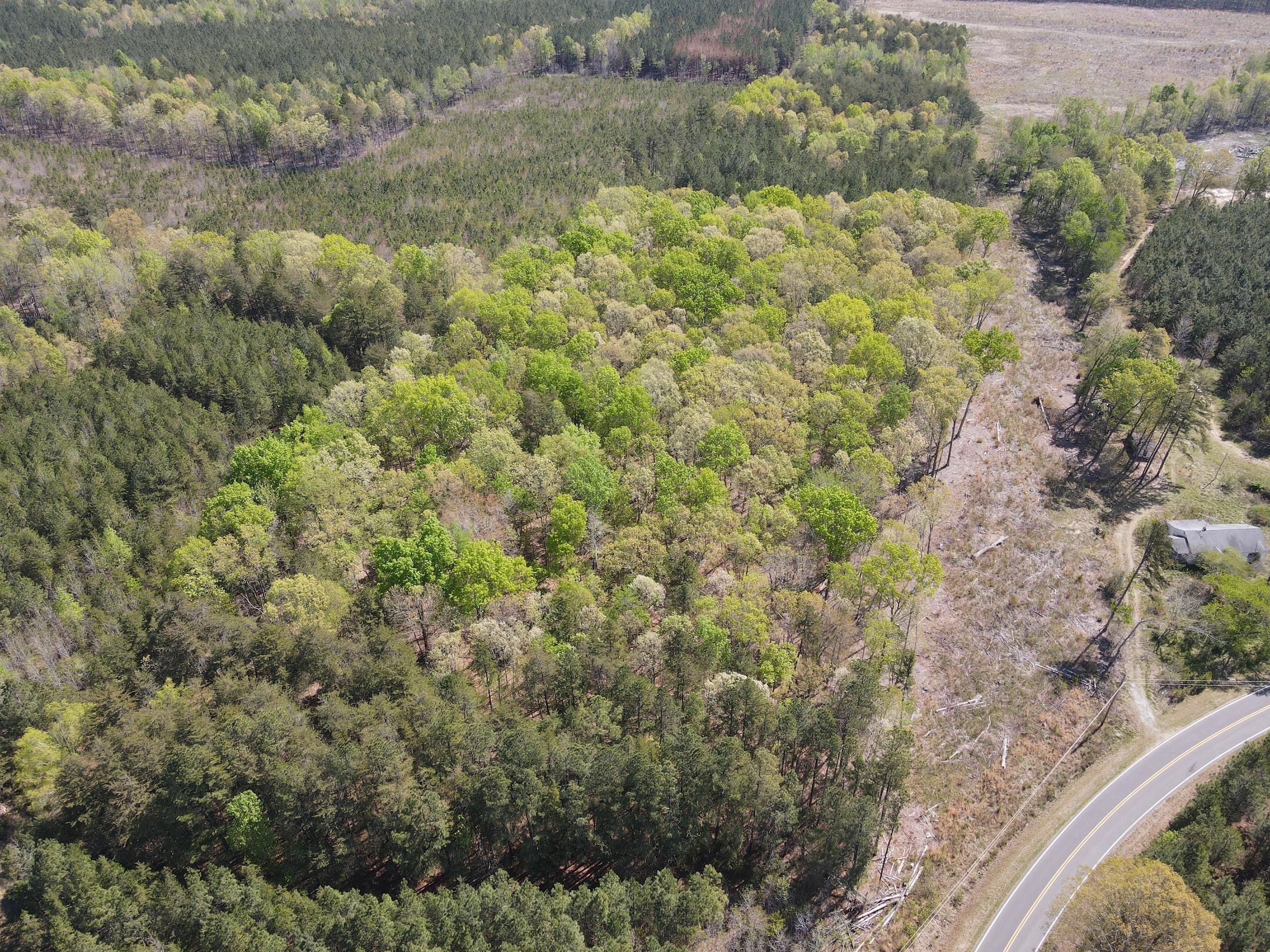 Roxboro, Person County, NC Recreational Property, Timberland Property