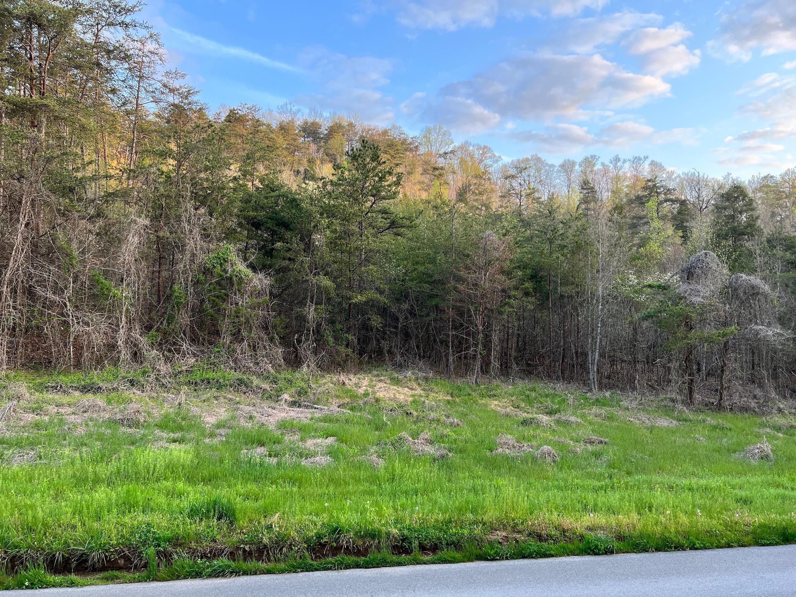 Black Fox Road, LotWP001, Washburn, TN 37888 LandWatch