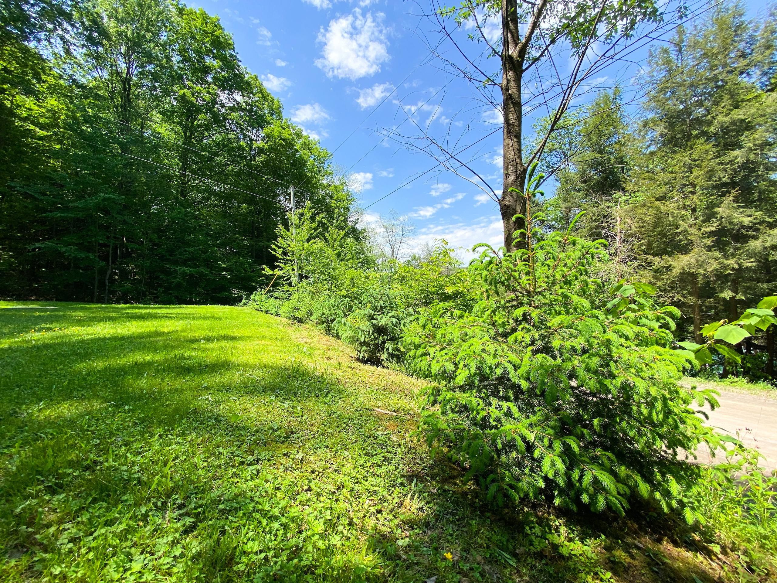 Cohocton, Steuben County, NY Recreational Property, Timberland Property