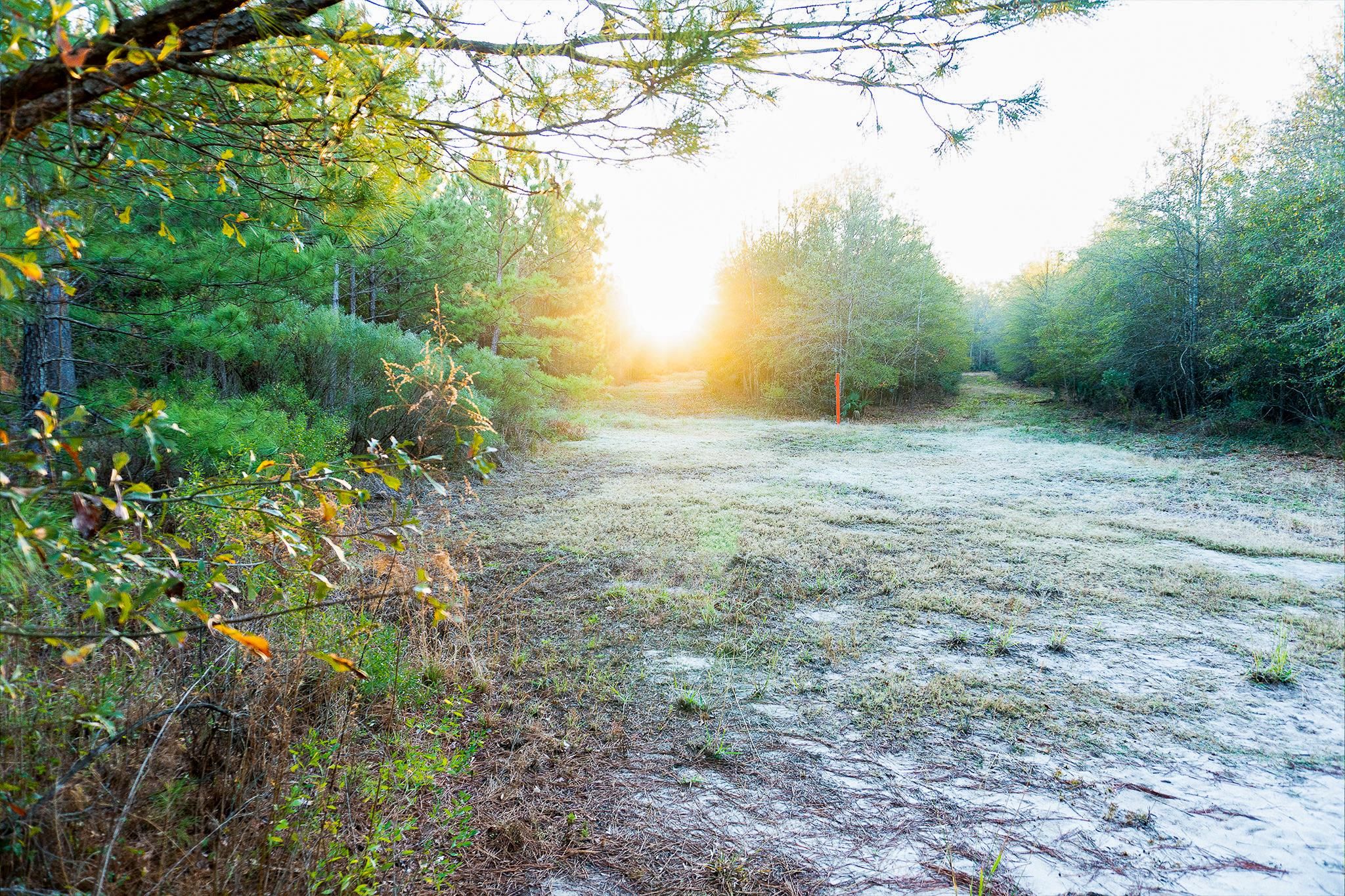 FM1987, Corrigan, TX 75939 LandWatch